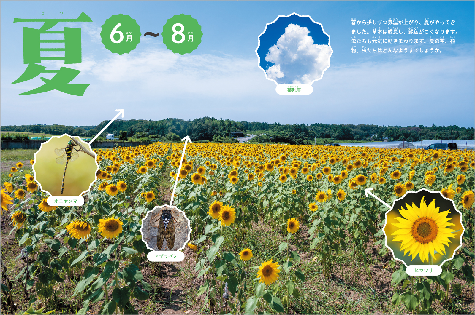 サムネイル画像1