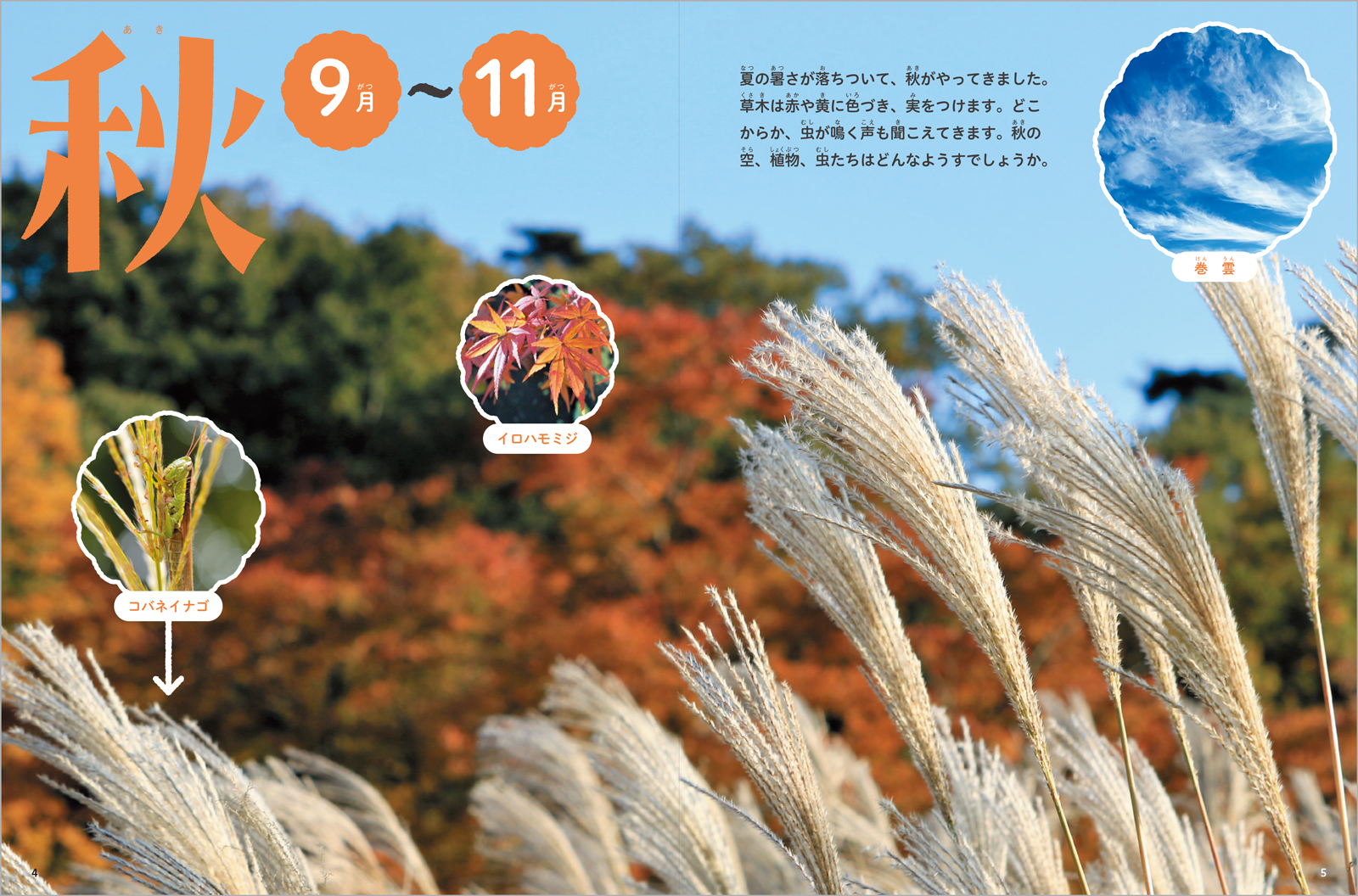 サムネイル画像1