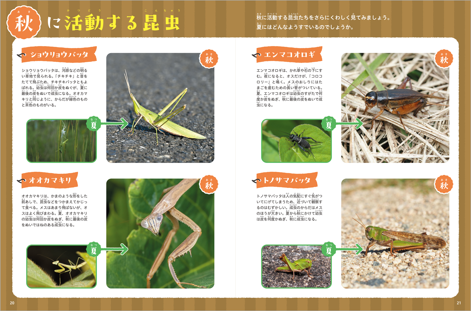サムネイル画像3