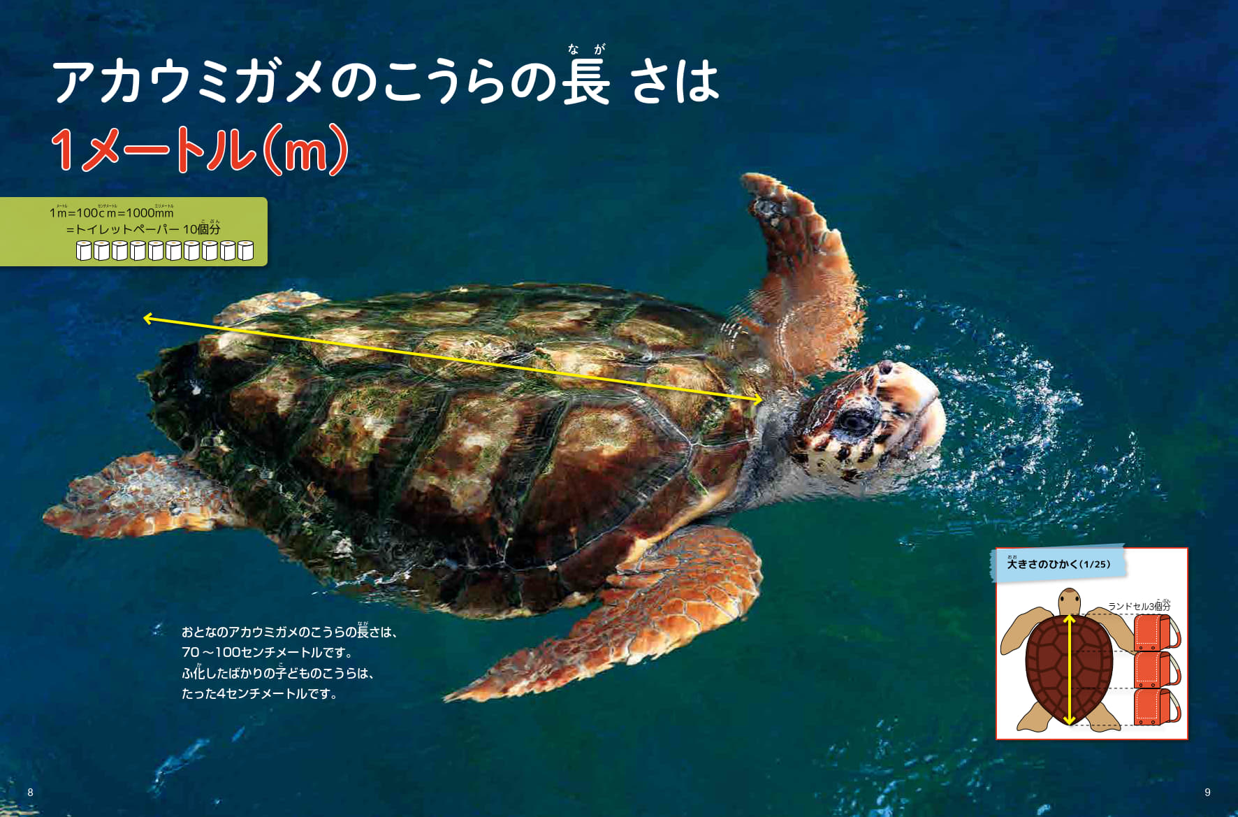 サムネイル画像5