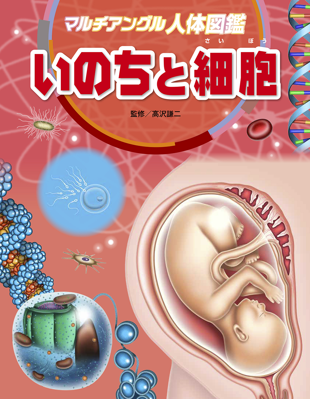 メイン画像