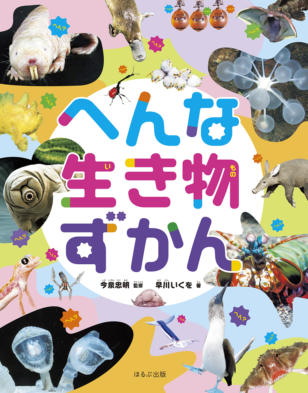 メイン画像