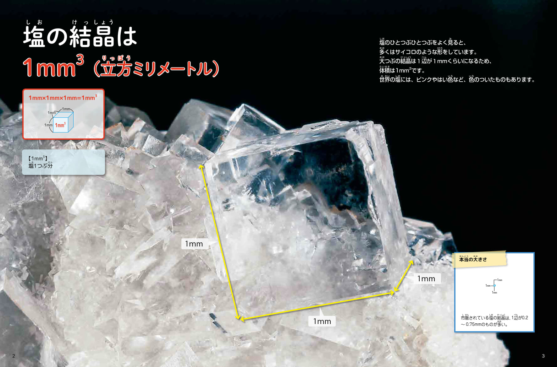 サムネイル画像2