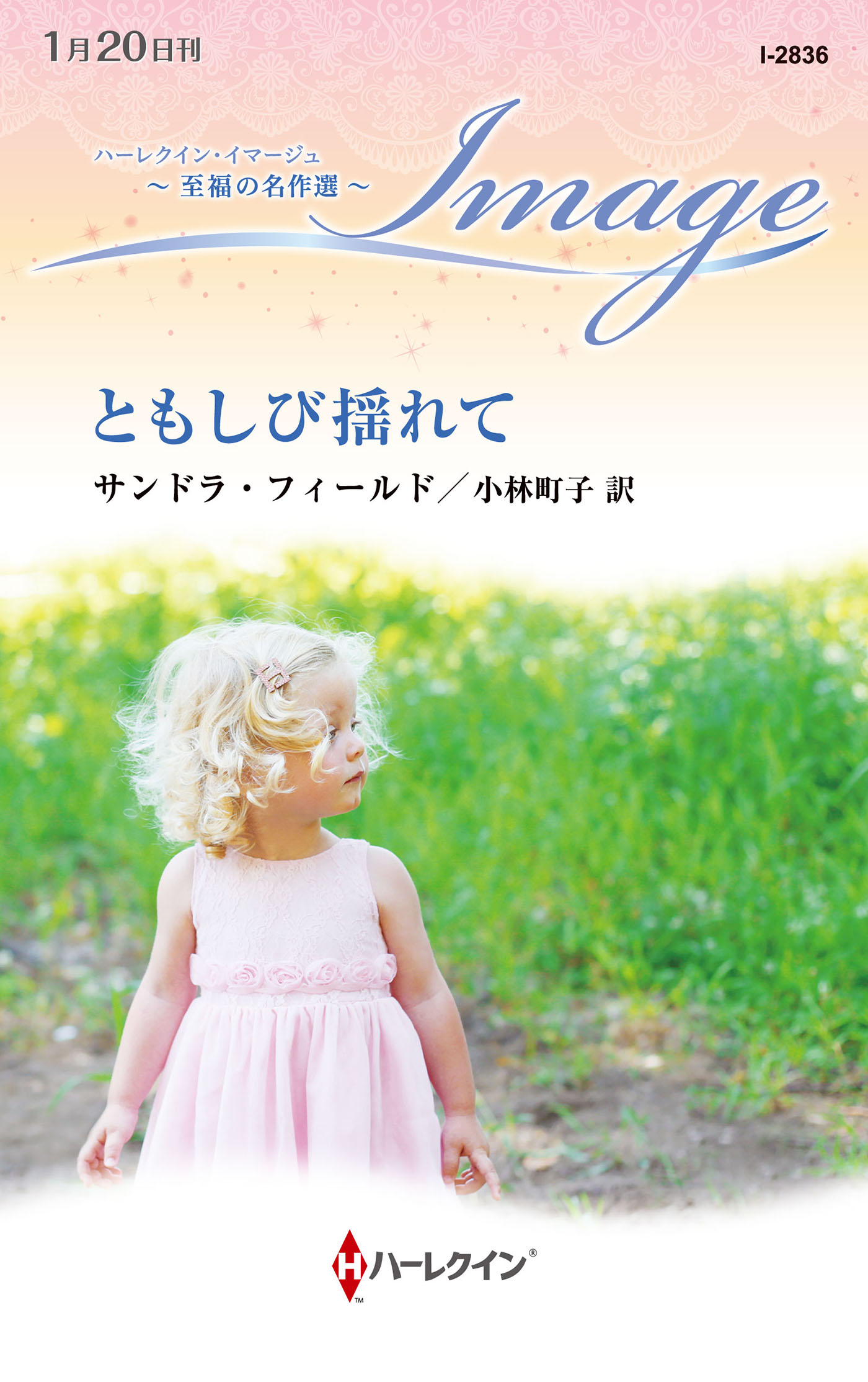 メイン画像
