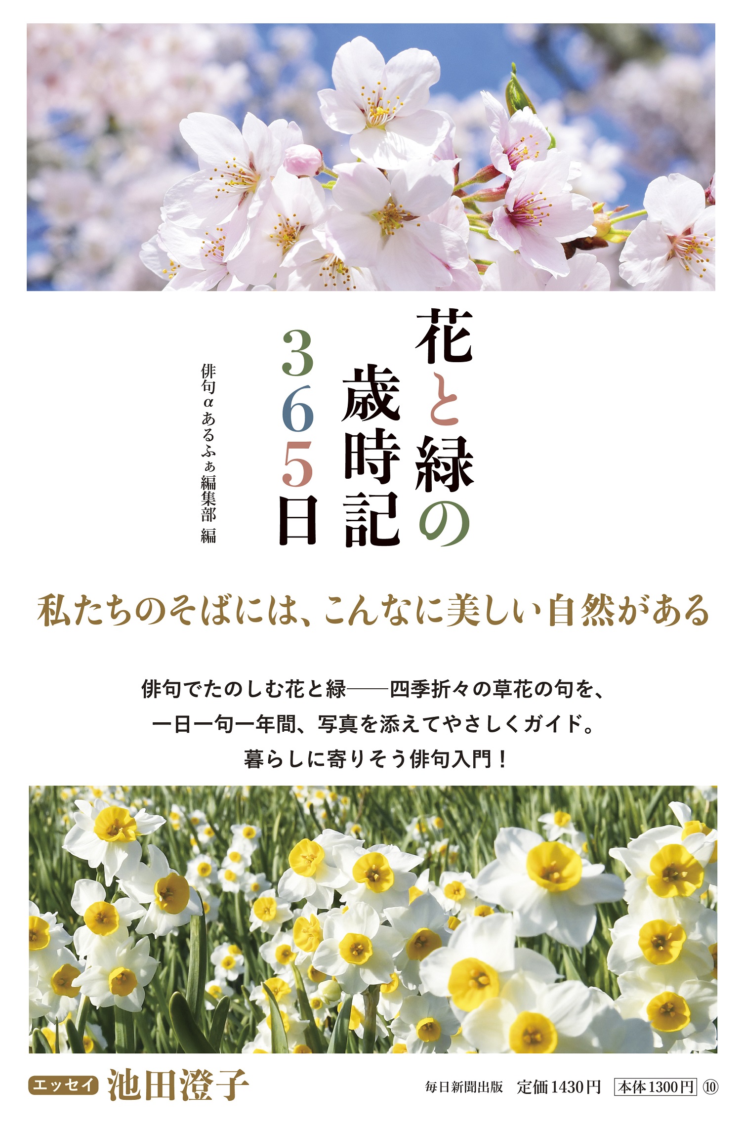 サムネイル画像1