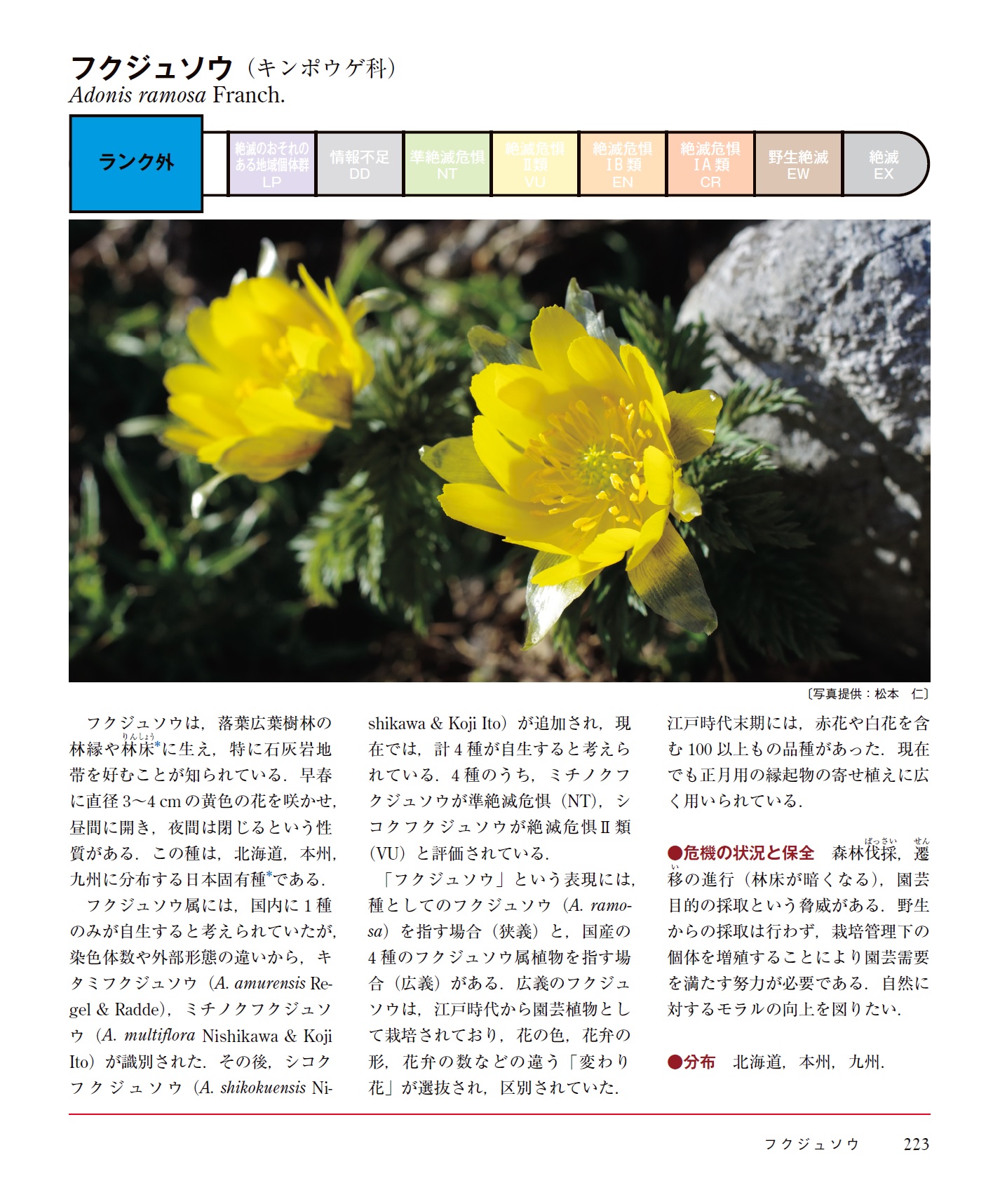 サムネイル画像2