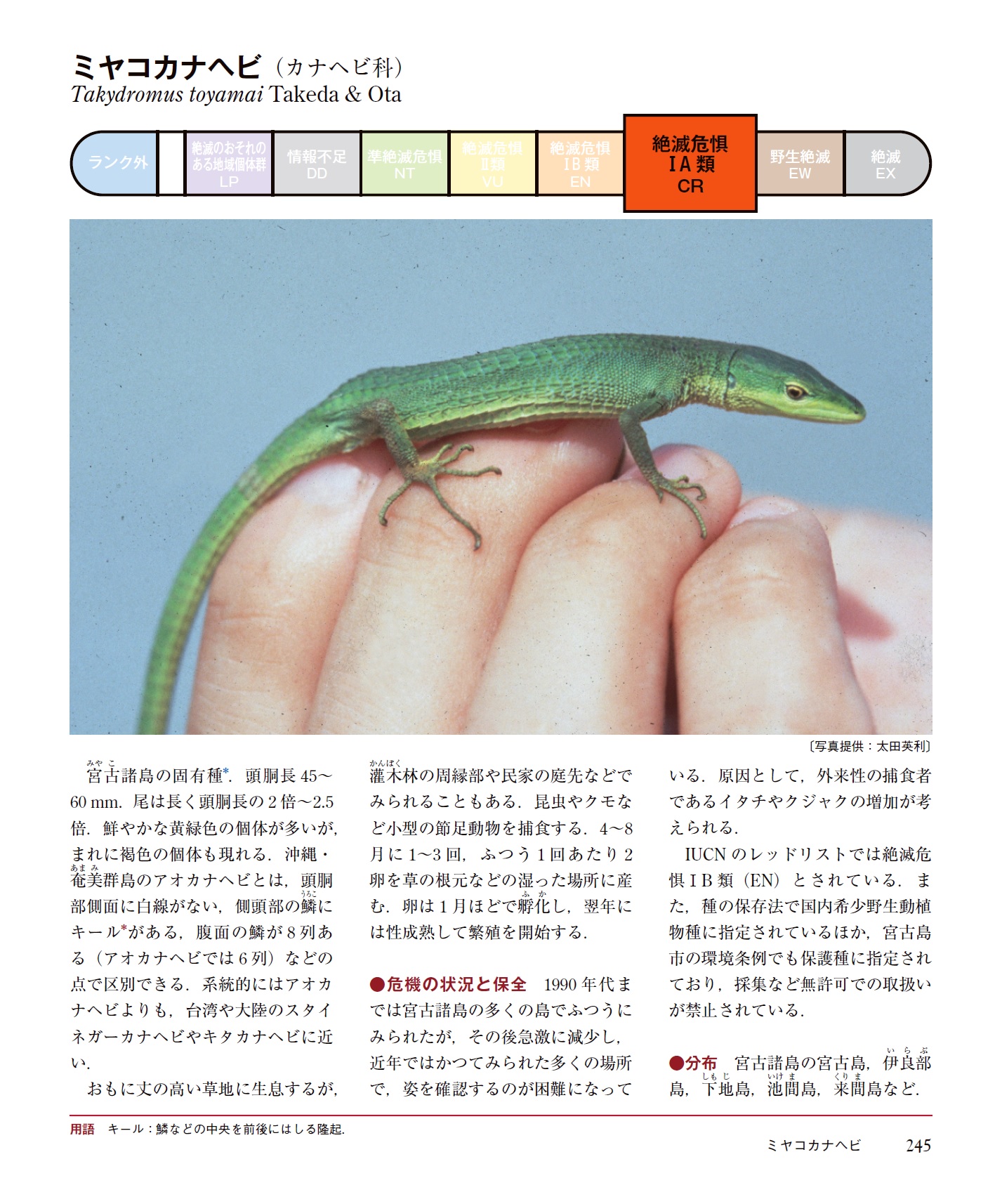 サムネイル画像3