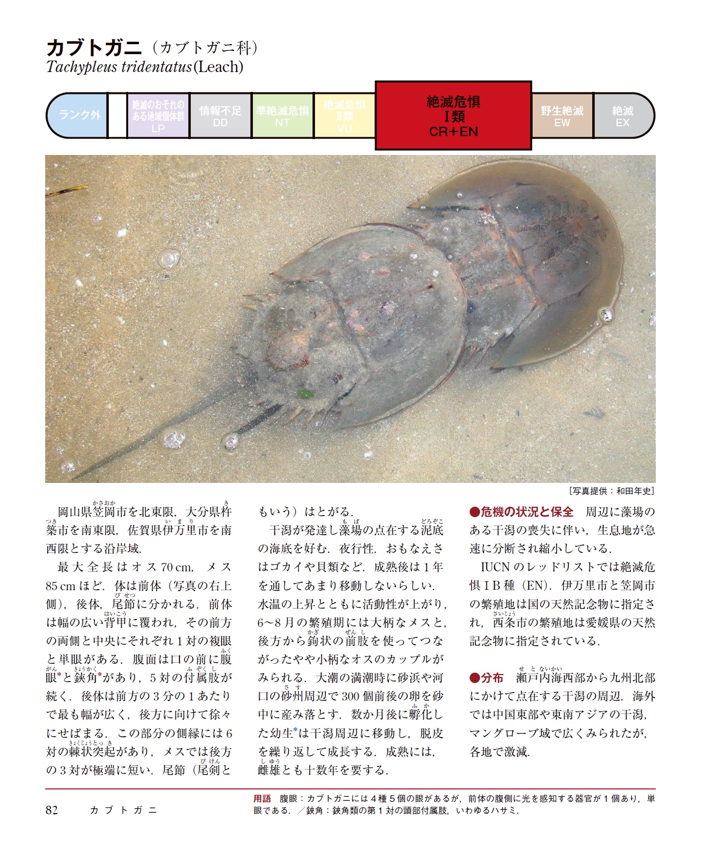 サムネイル画像4