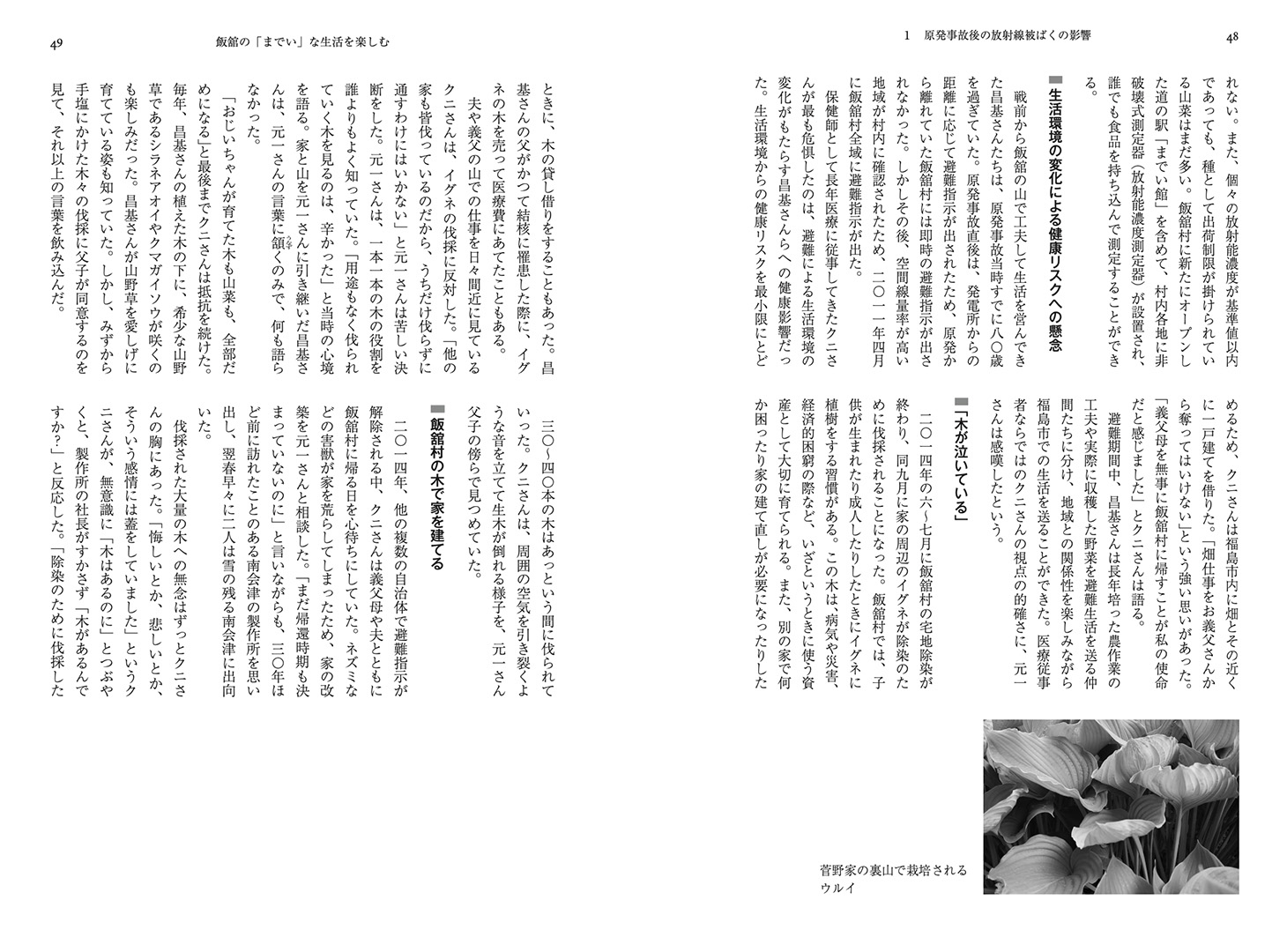 サムネイル画像1