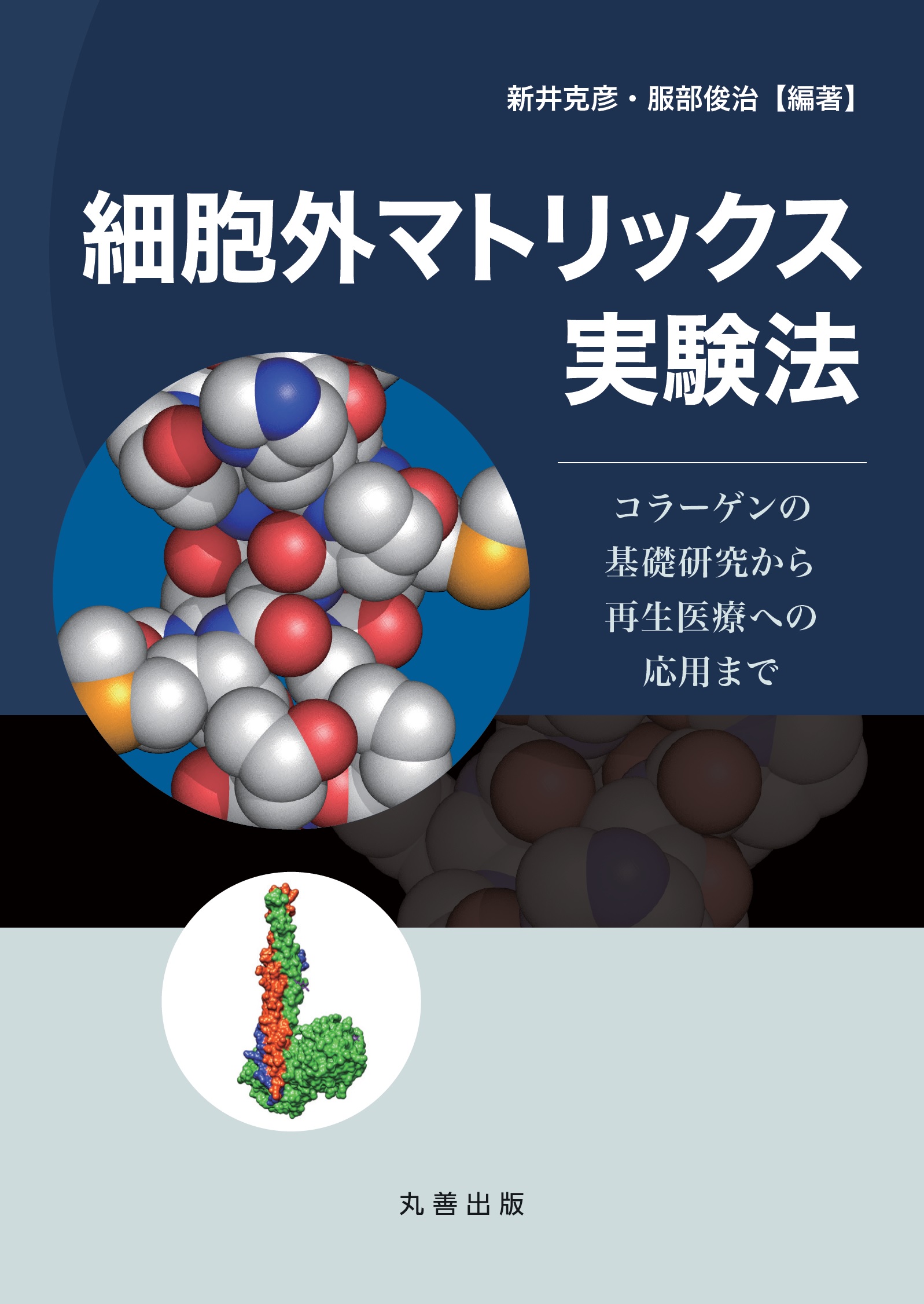 メイン画像