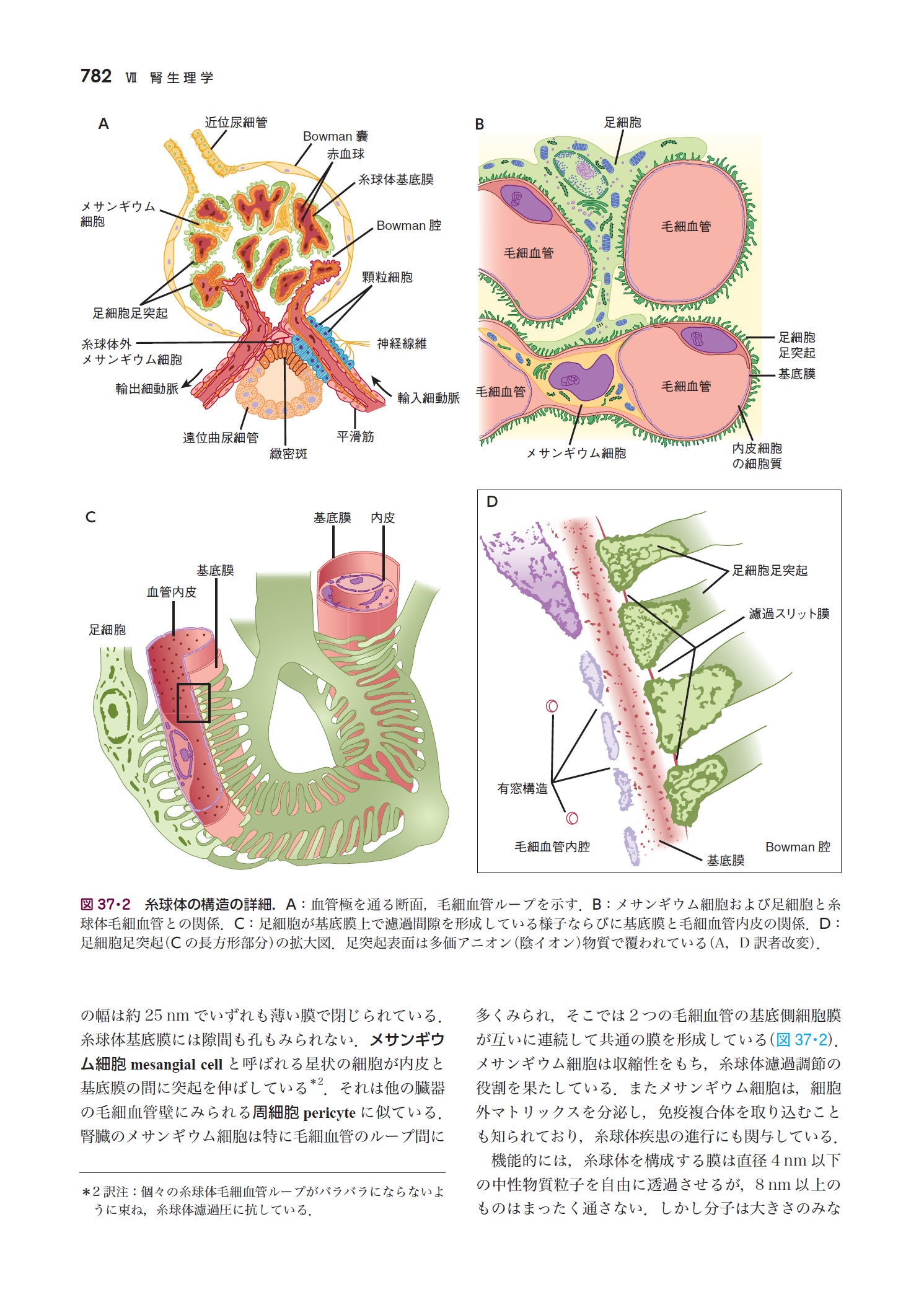 サムネイル画像4