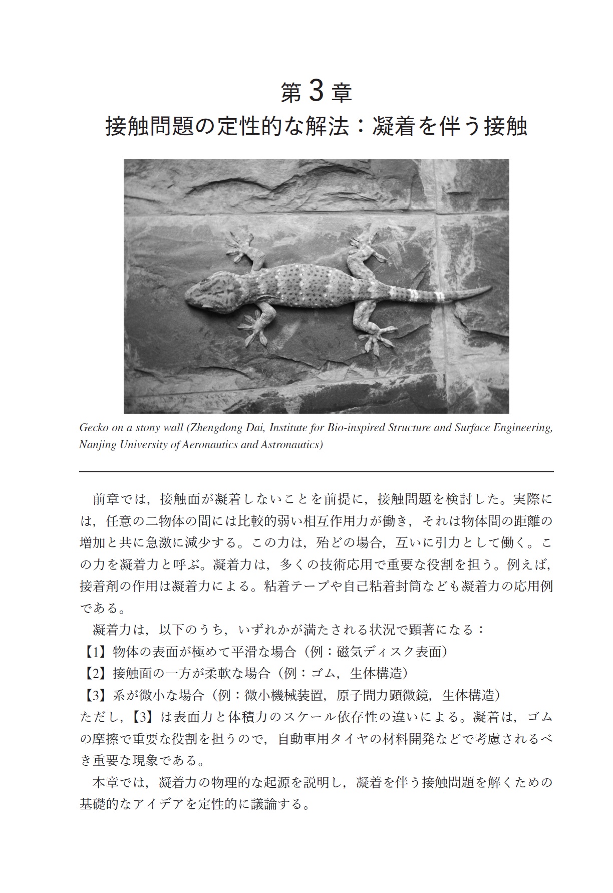 サムネイル画像3
