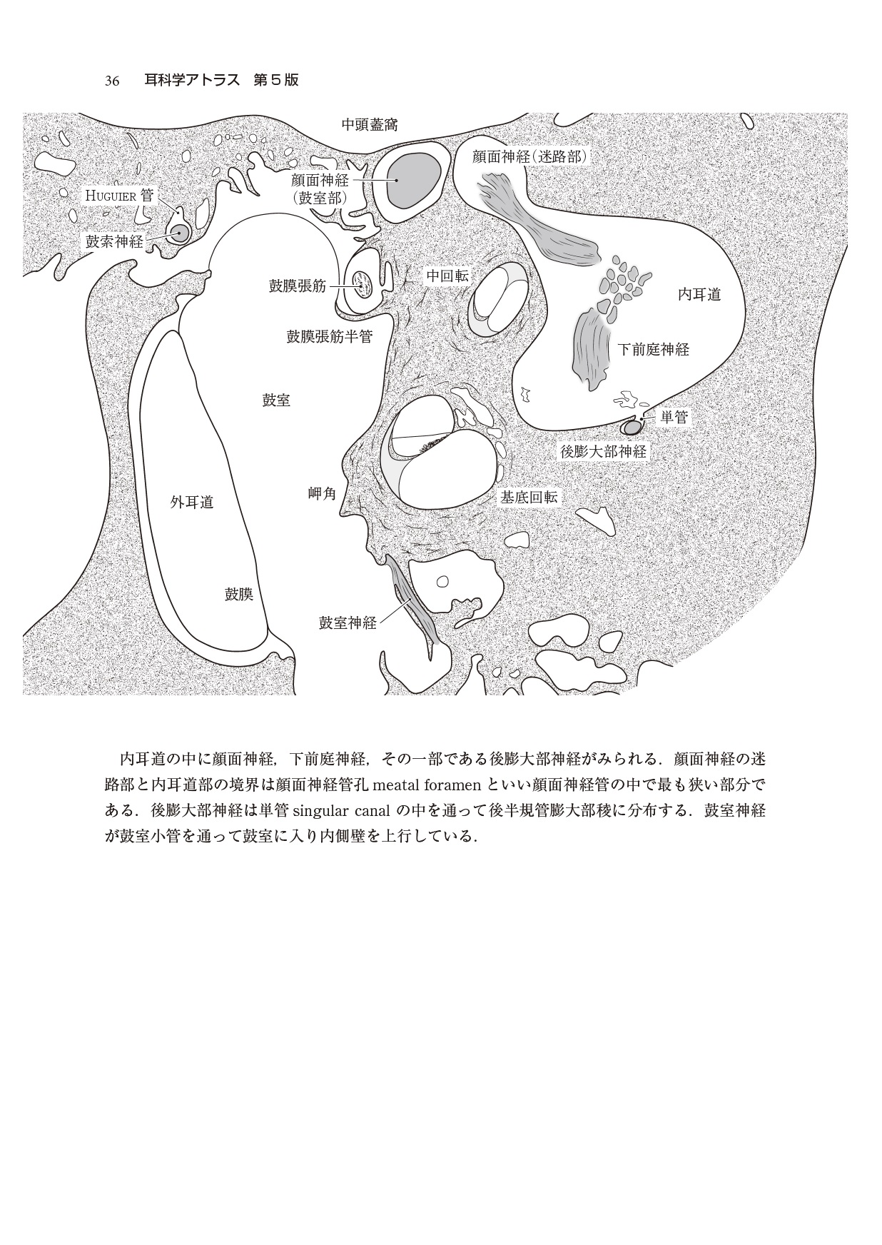 サムネイル画像2