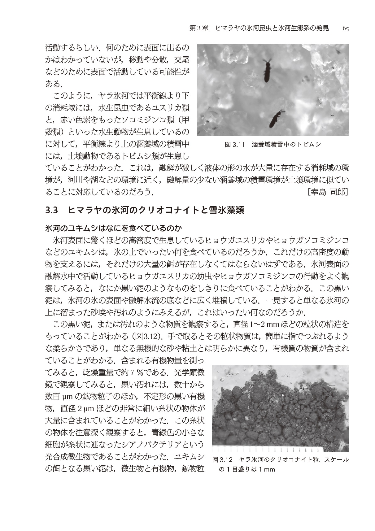 サムネイル画像2