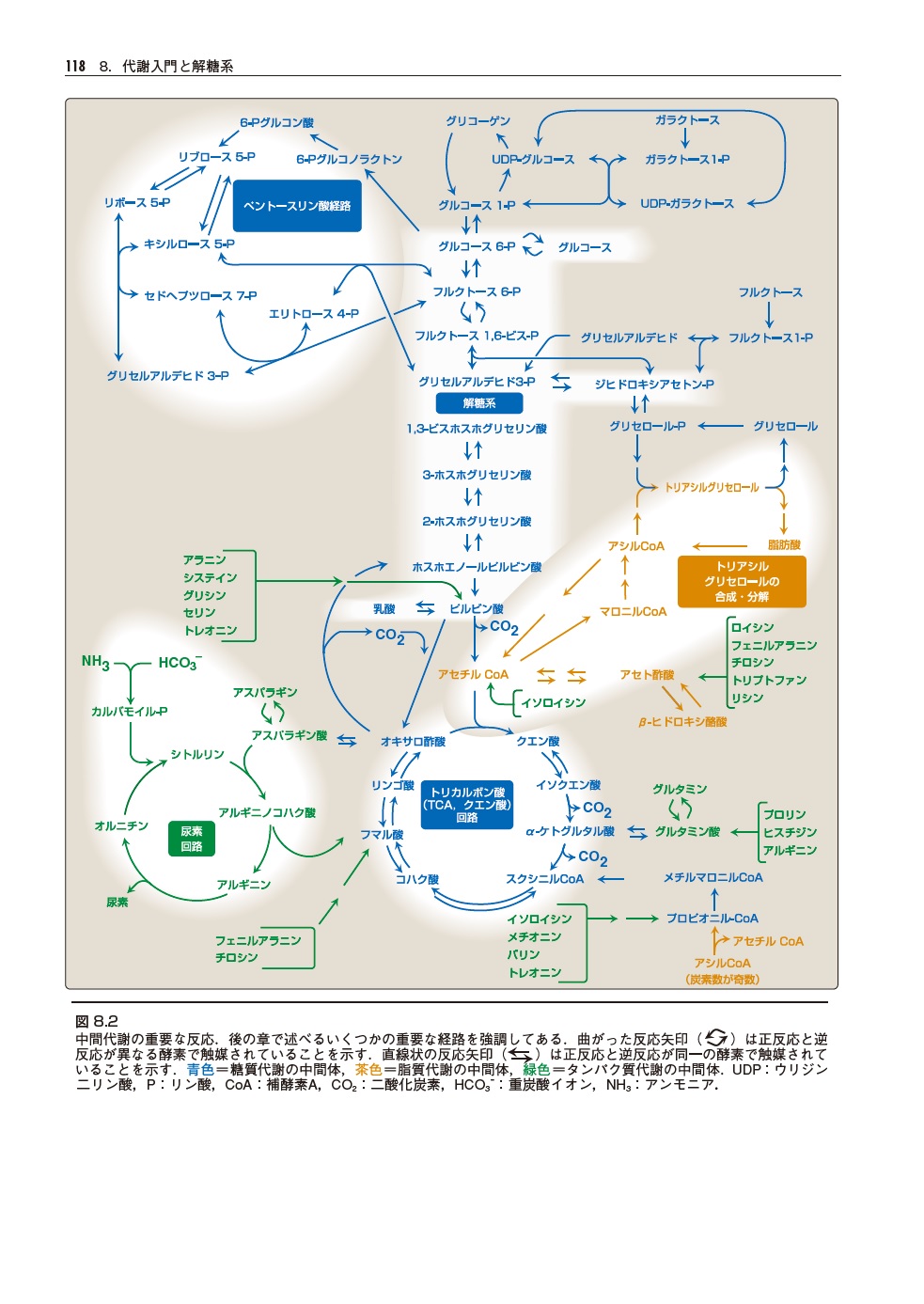 サムネイル画像3