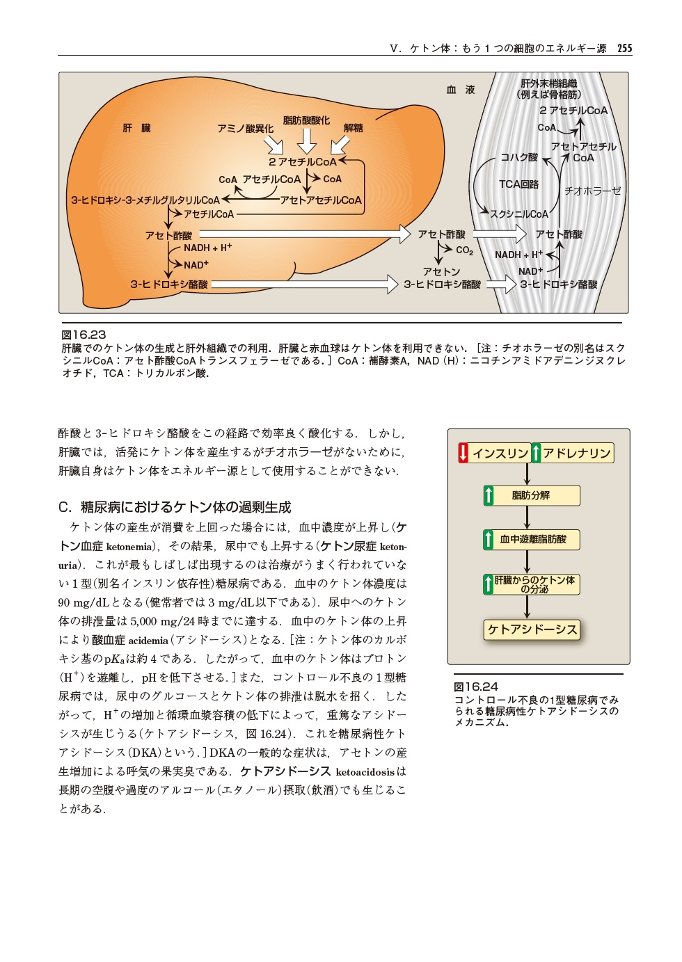 サムネイル画像4