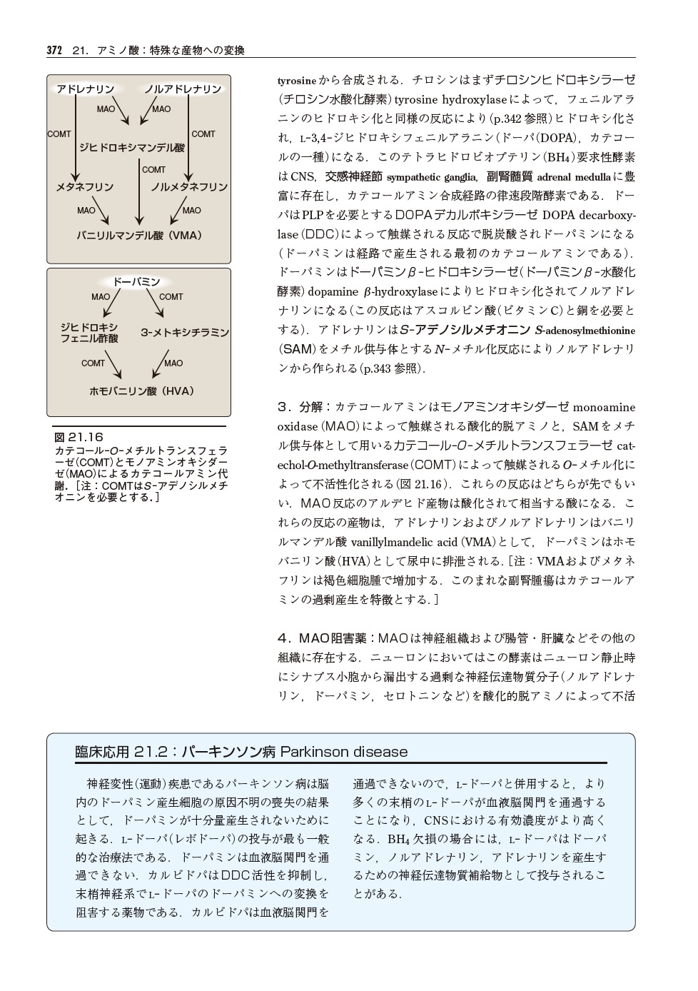 サムネイル画像5