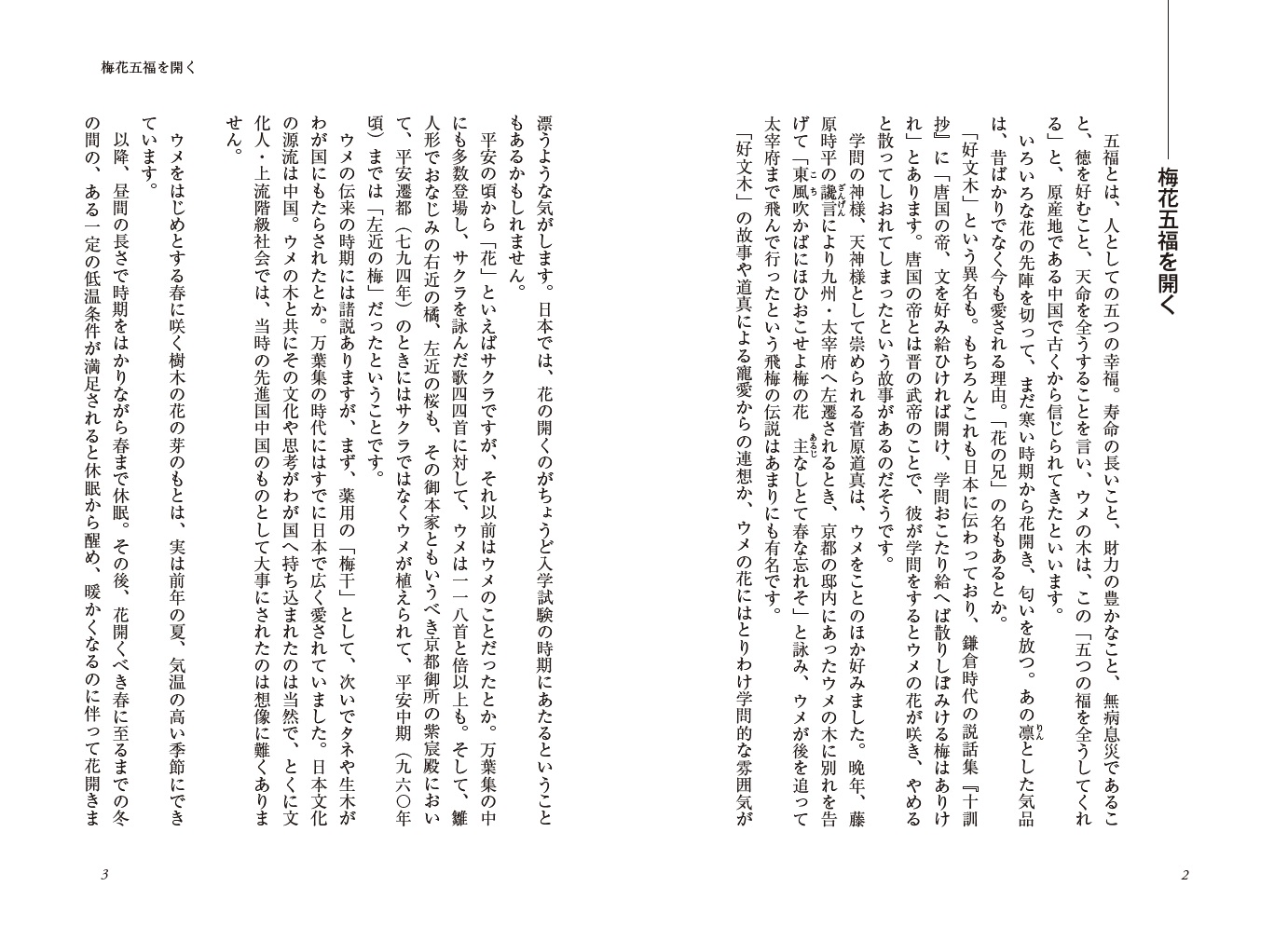 サムネイル画像4