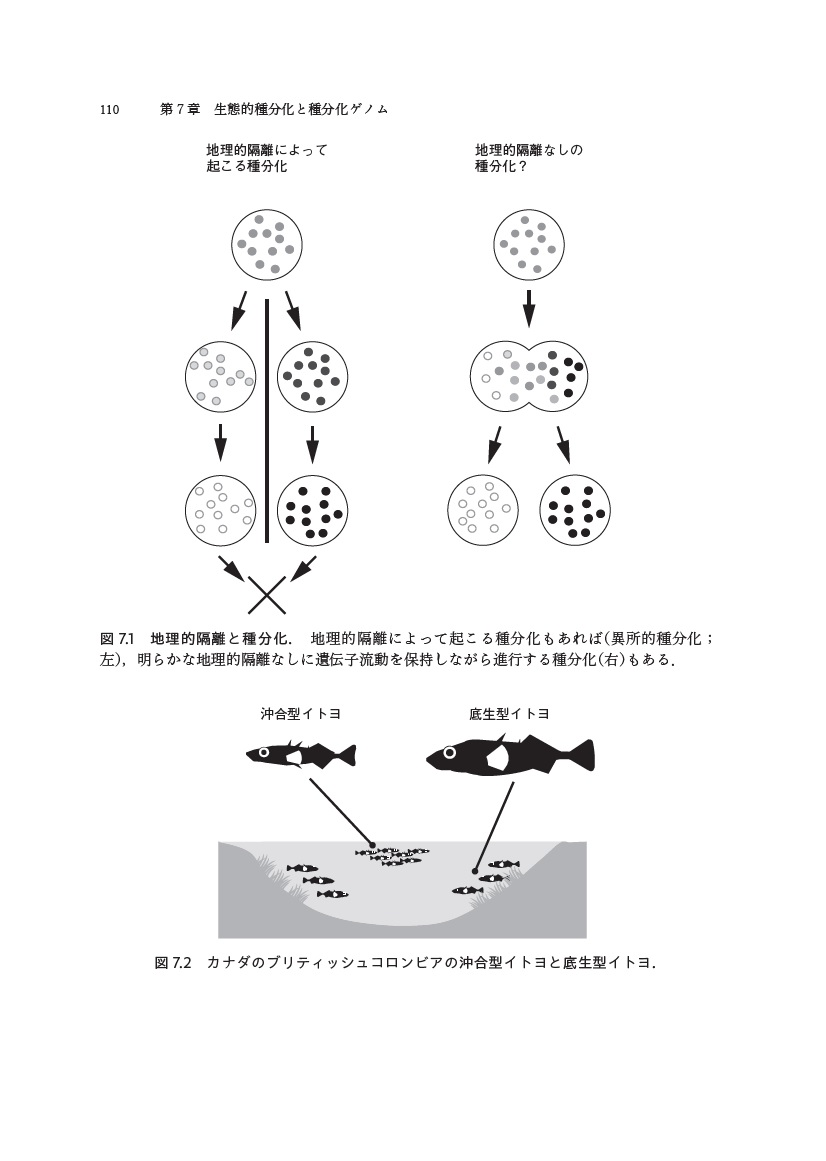 サムネイル画像5