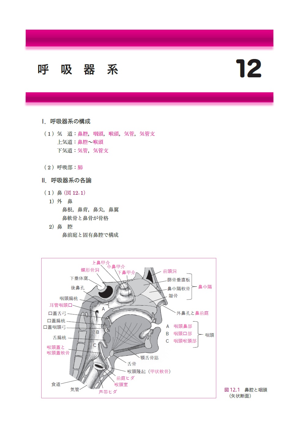 サムネイル画像4