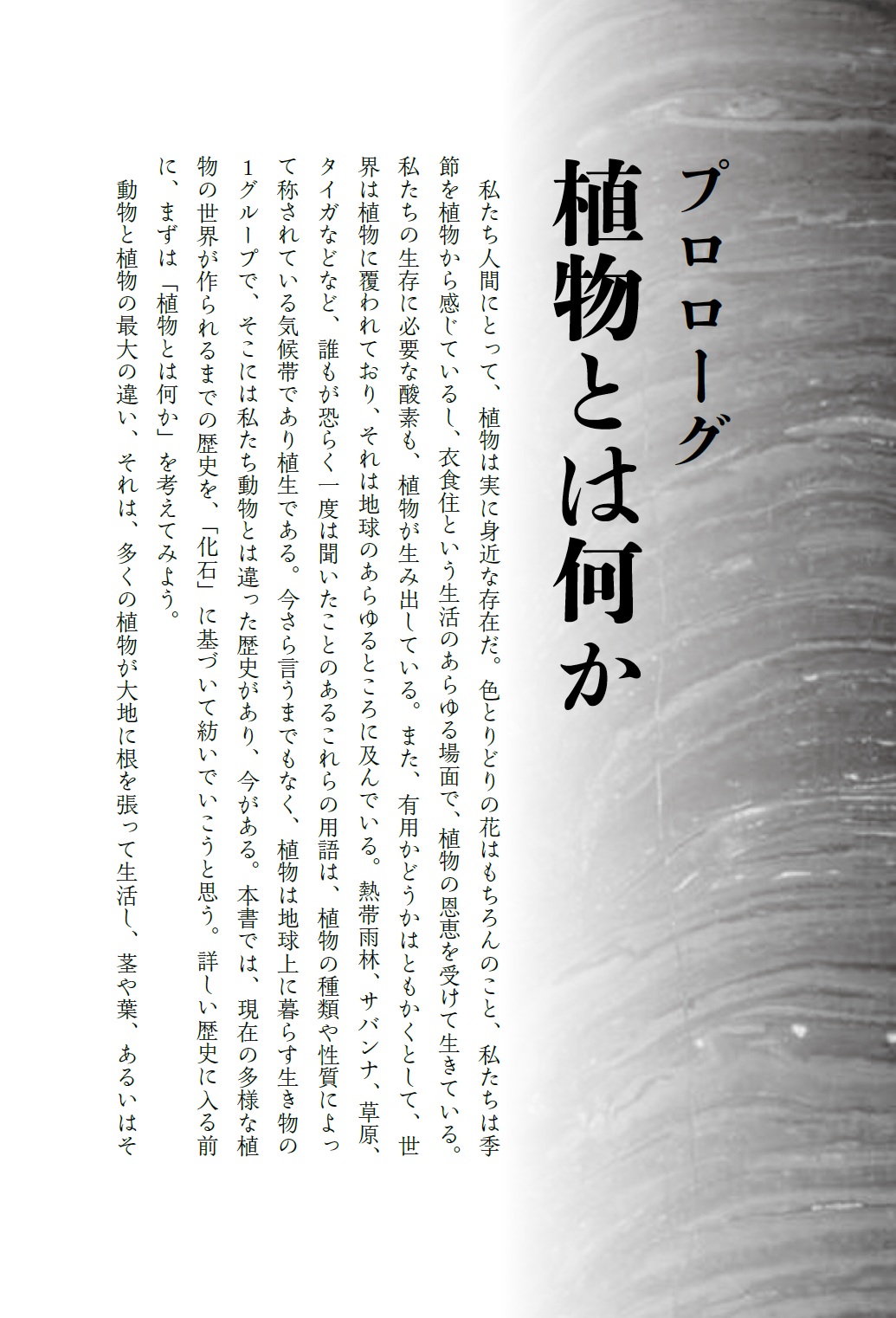 サムネイル画像4