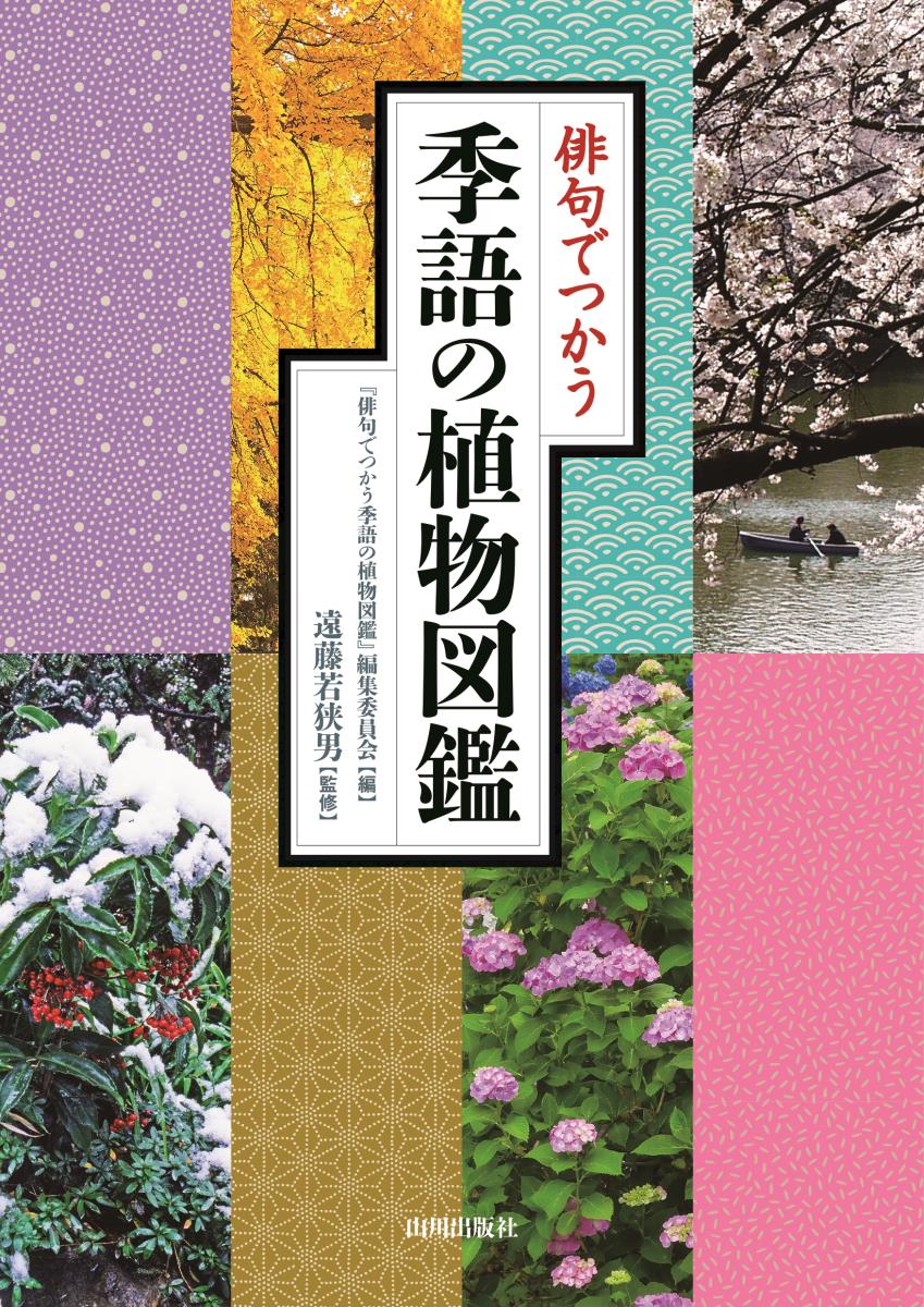 サムネイル画像1