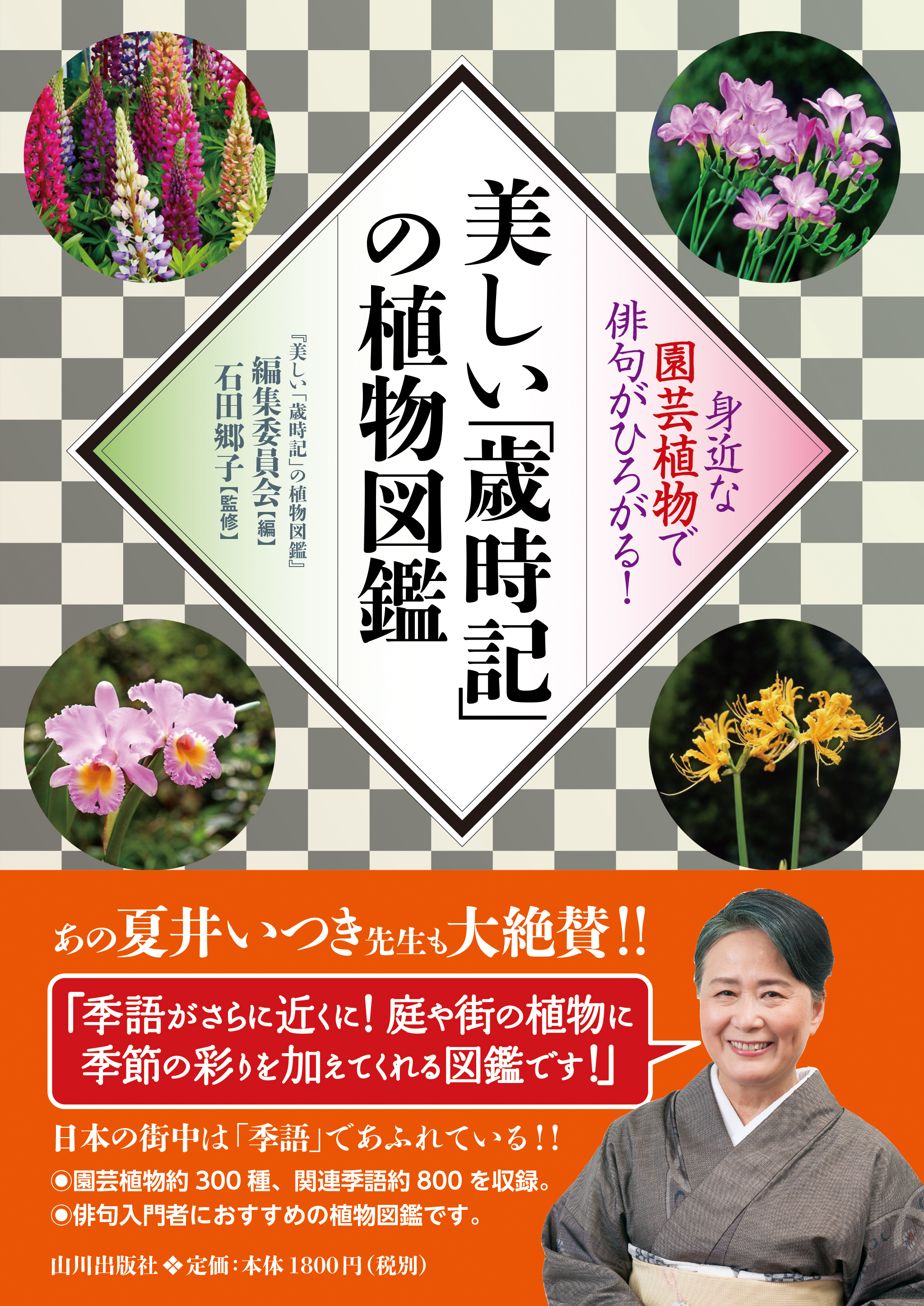 メイン画像
