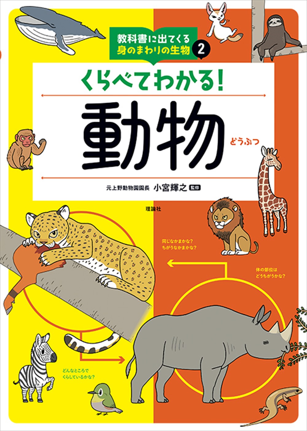 メイン画像
