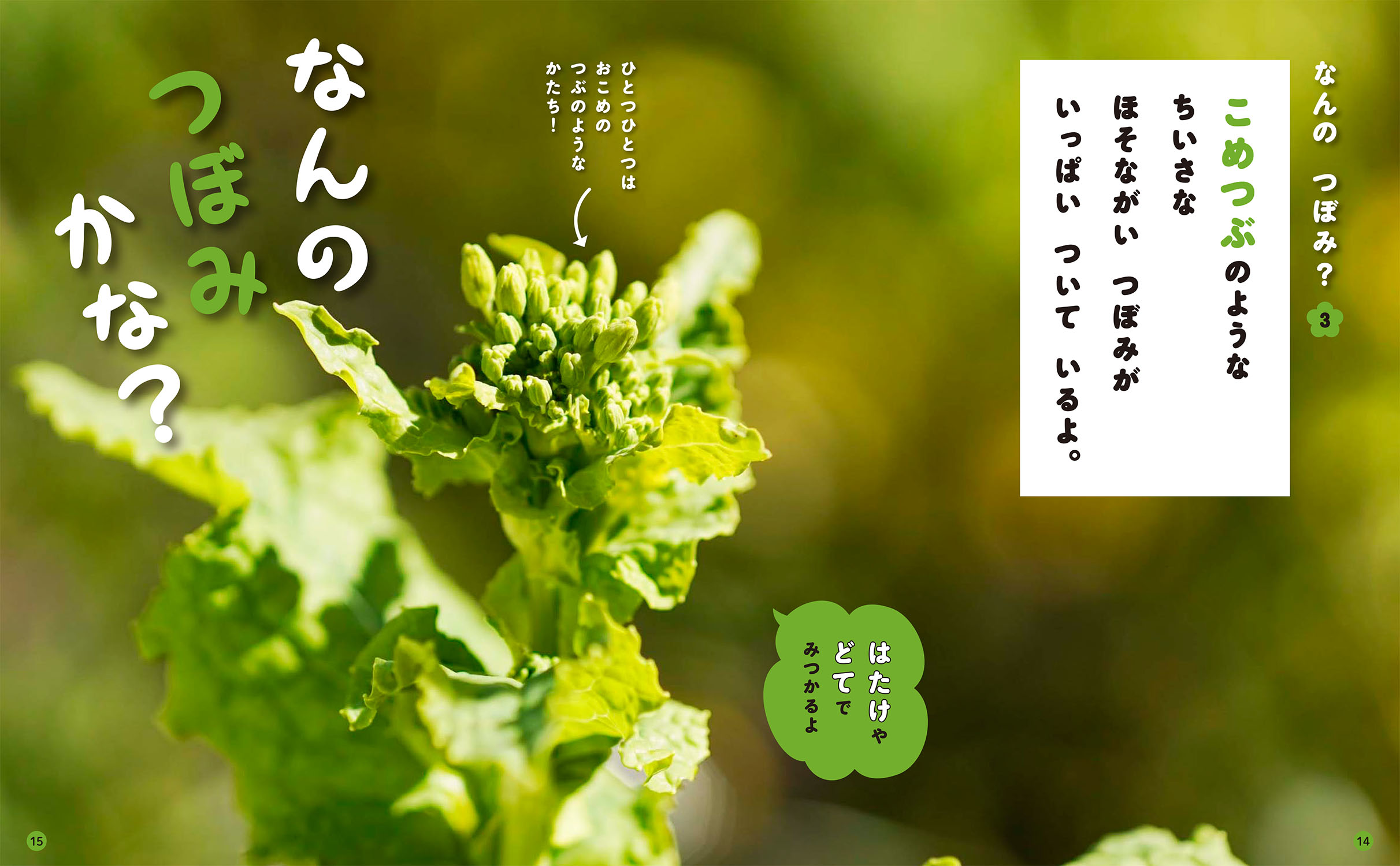 サムネイル画像1