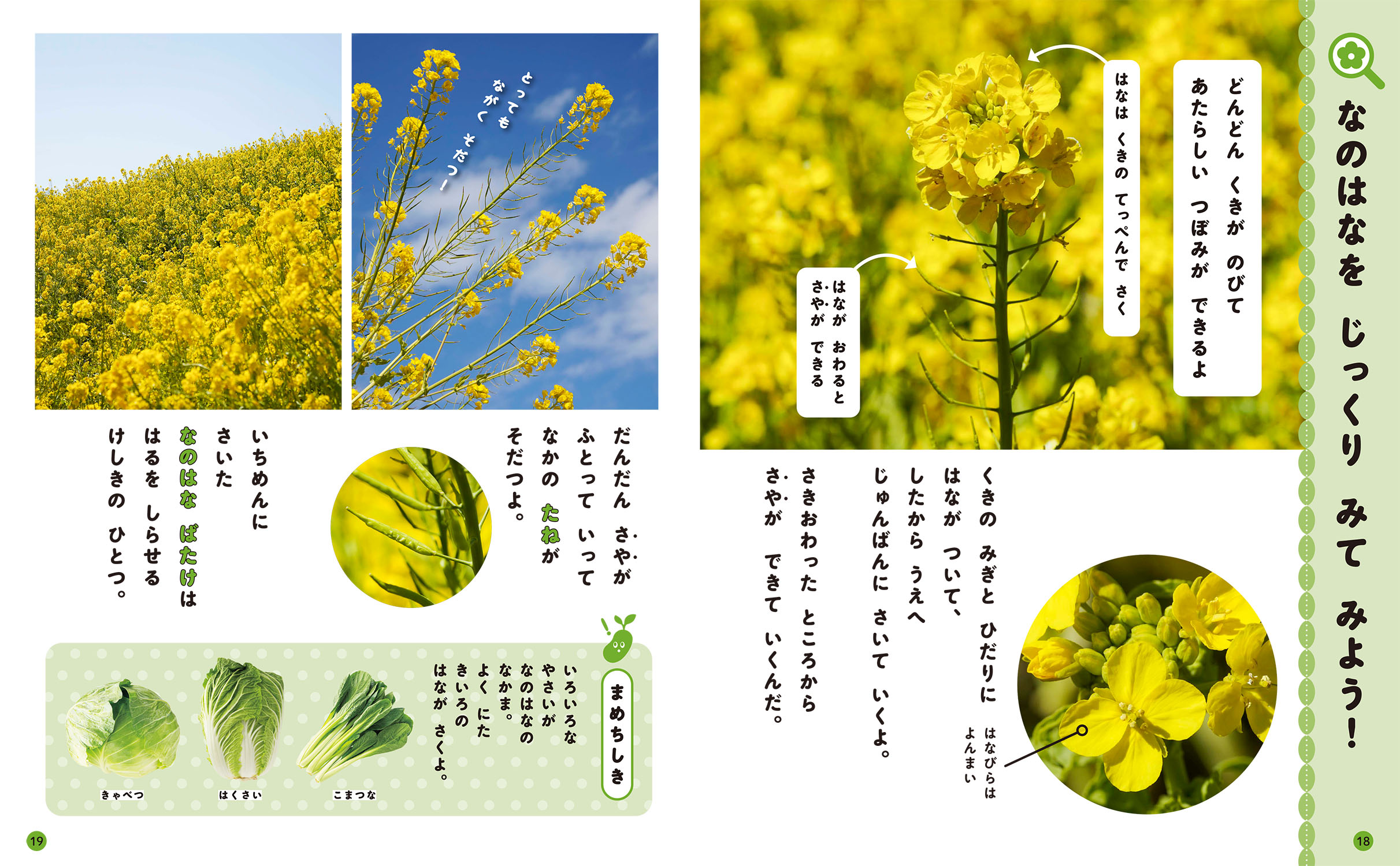 サムネイル画像3