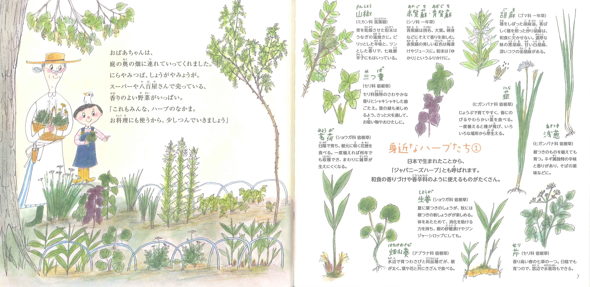 サムネイル画像1