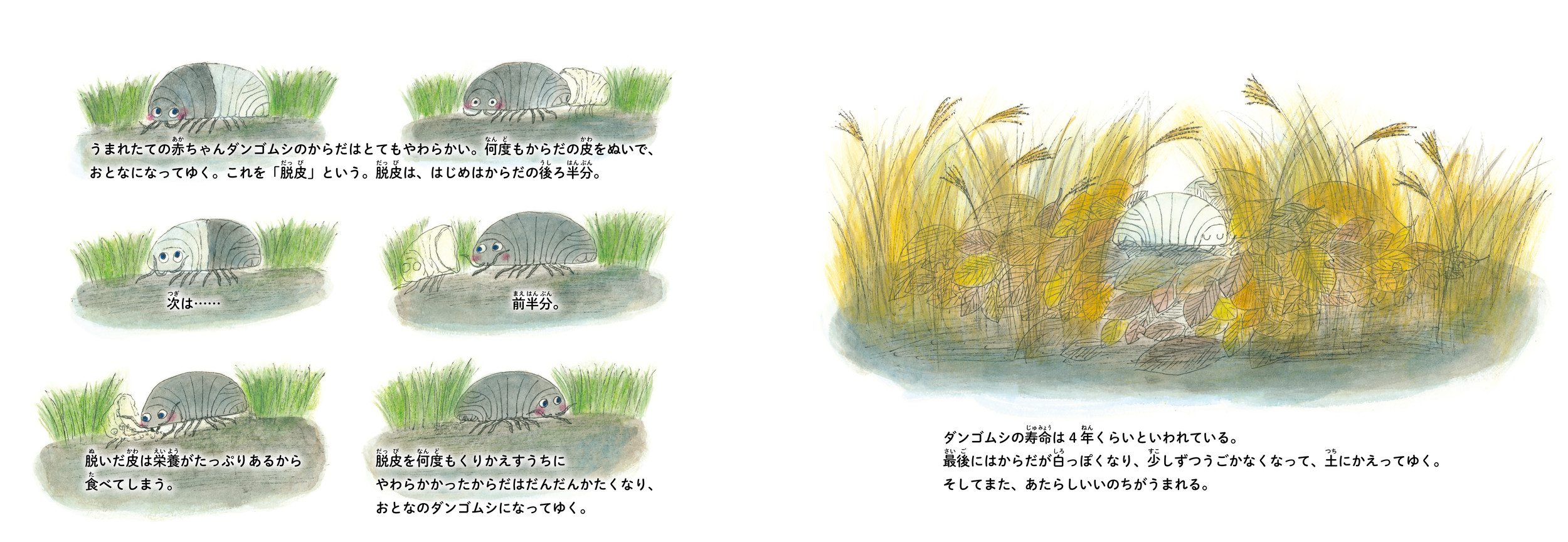 サムネイル画像3