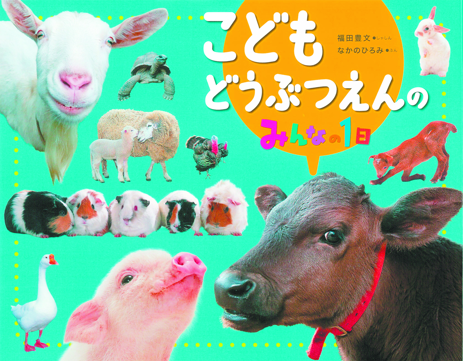 メイン画像