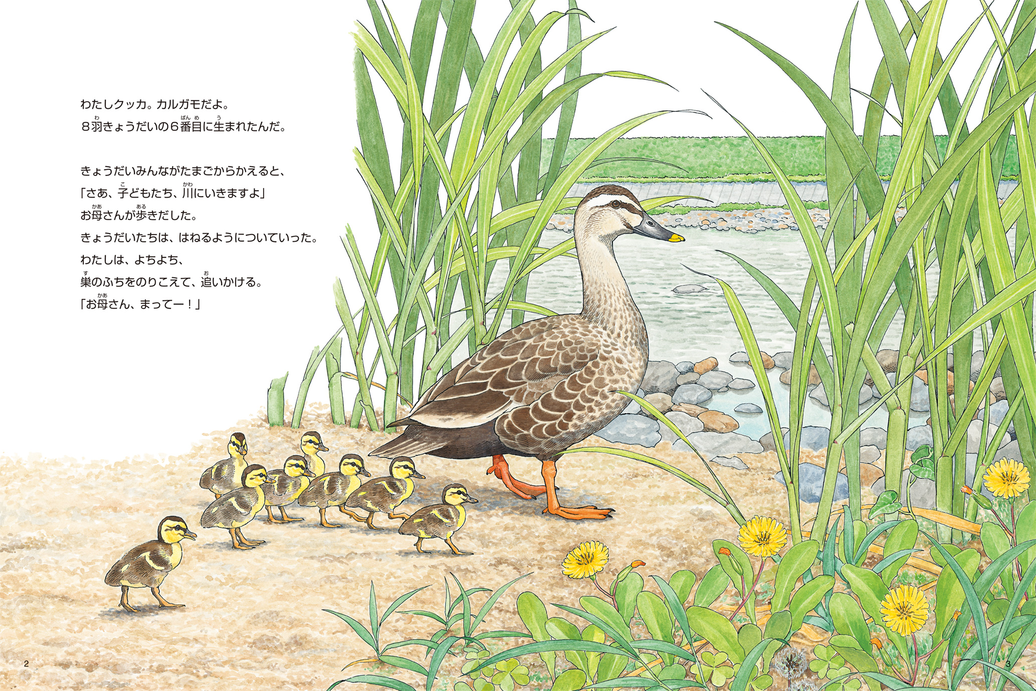 サムネイル画像1