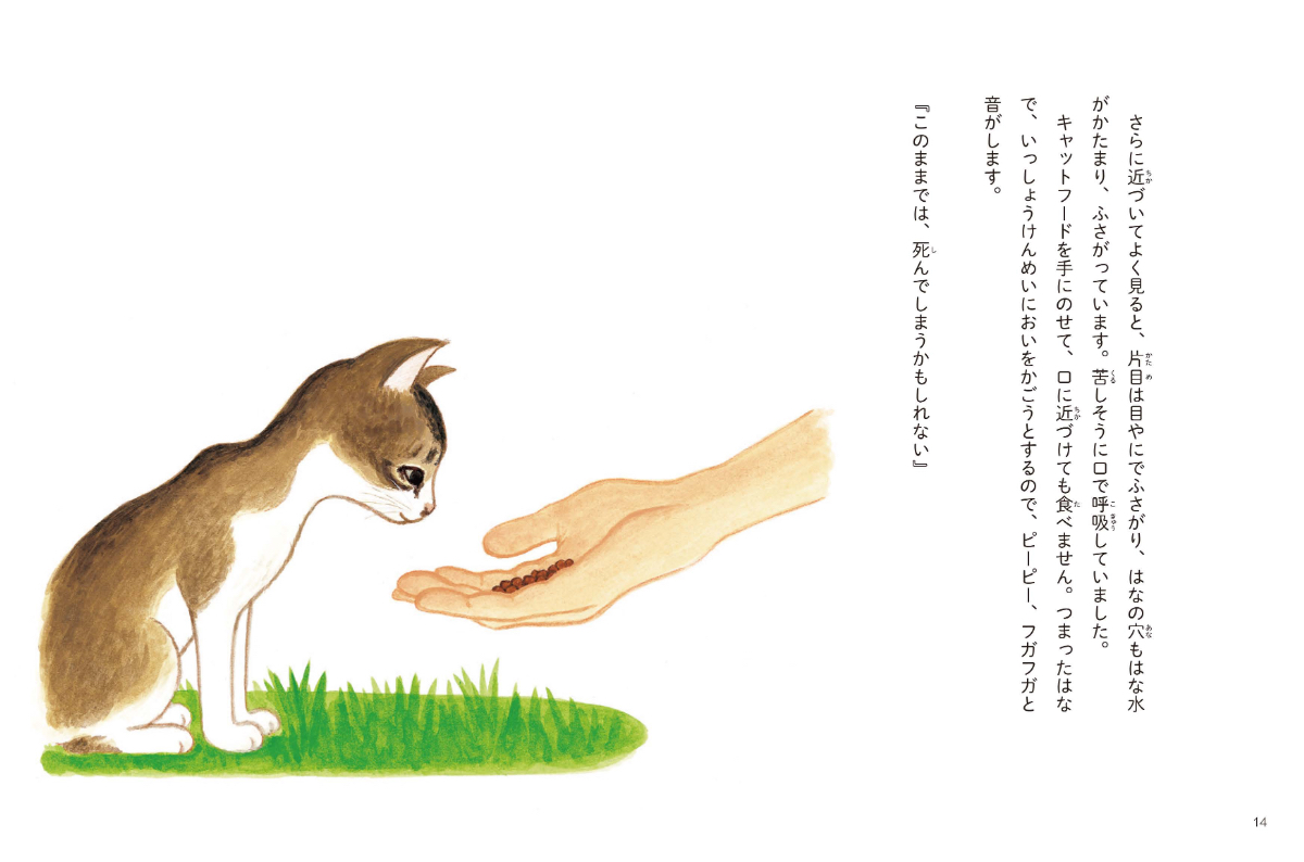 サムネイル画像2