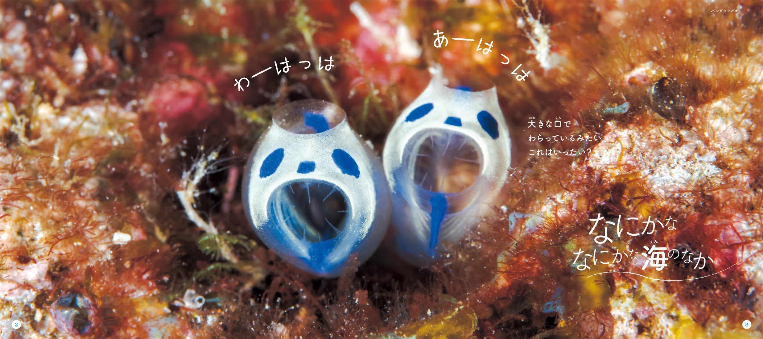 サムネイル画像1