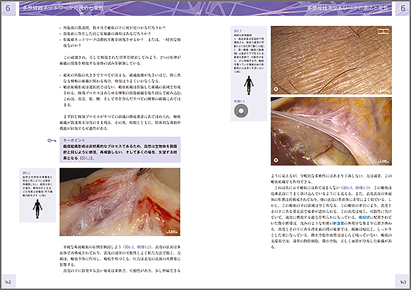 サムネイル画像3
