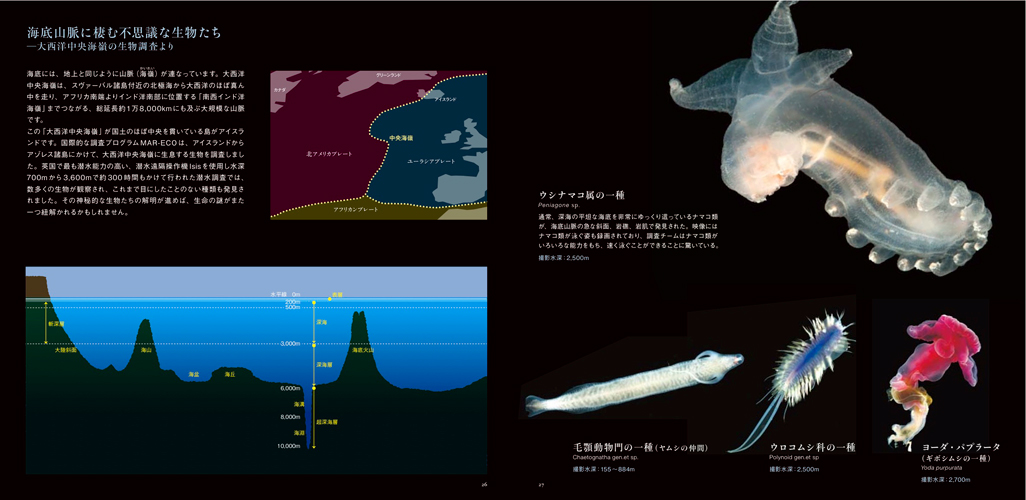 サムネイル画像3