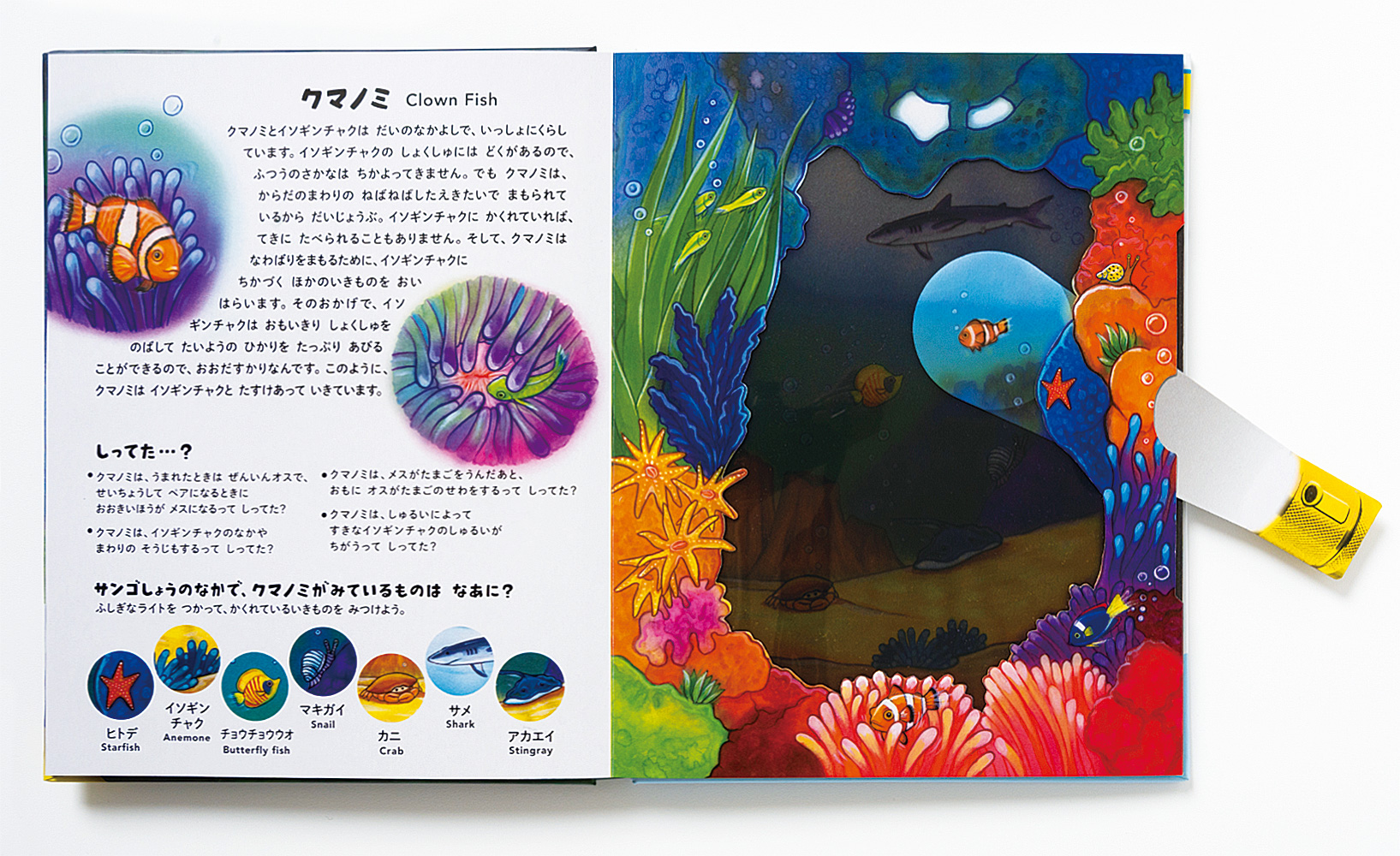 サムネイル画像2