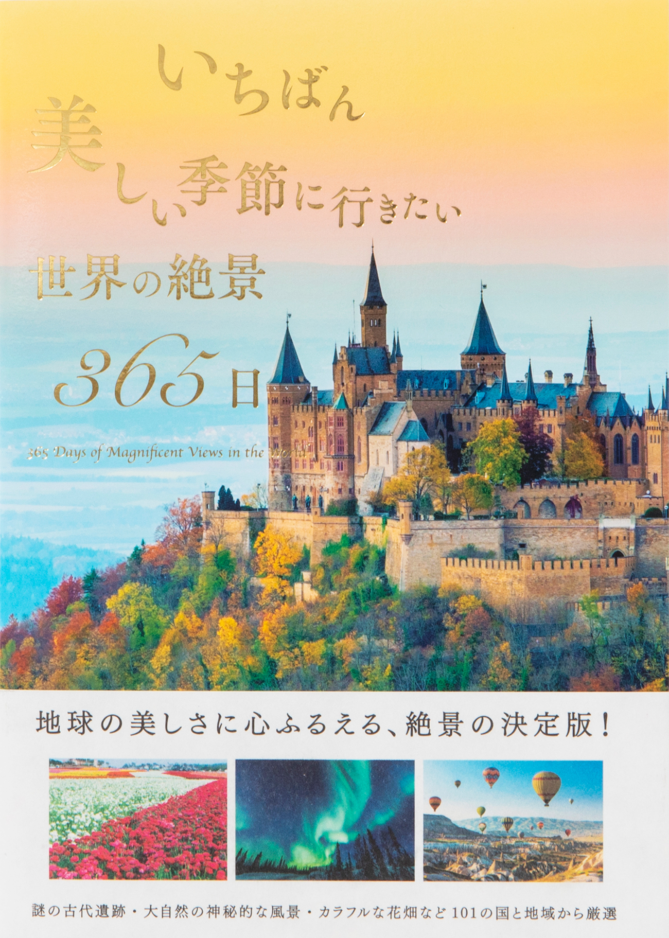 メイン画像