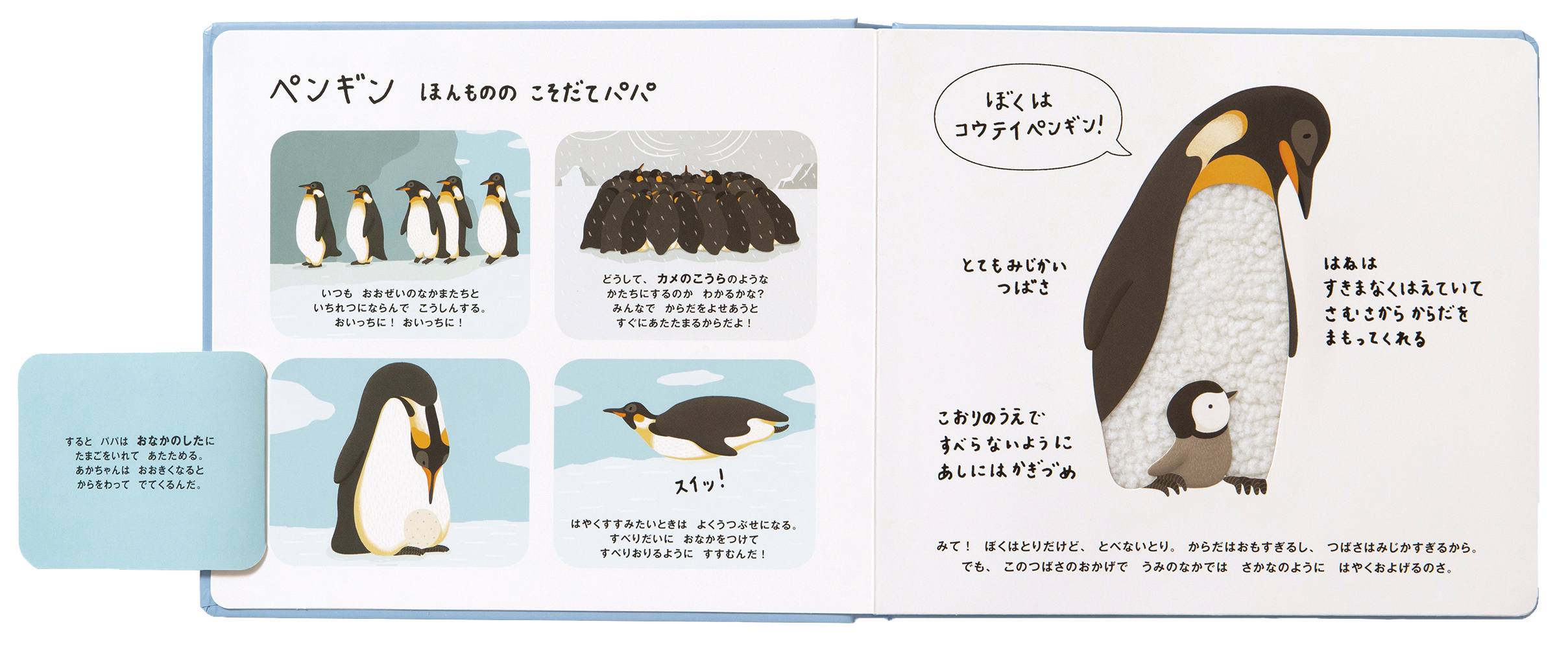 サムネイル画像1