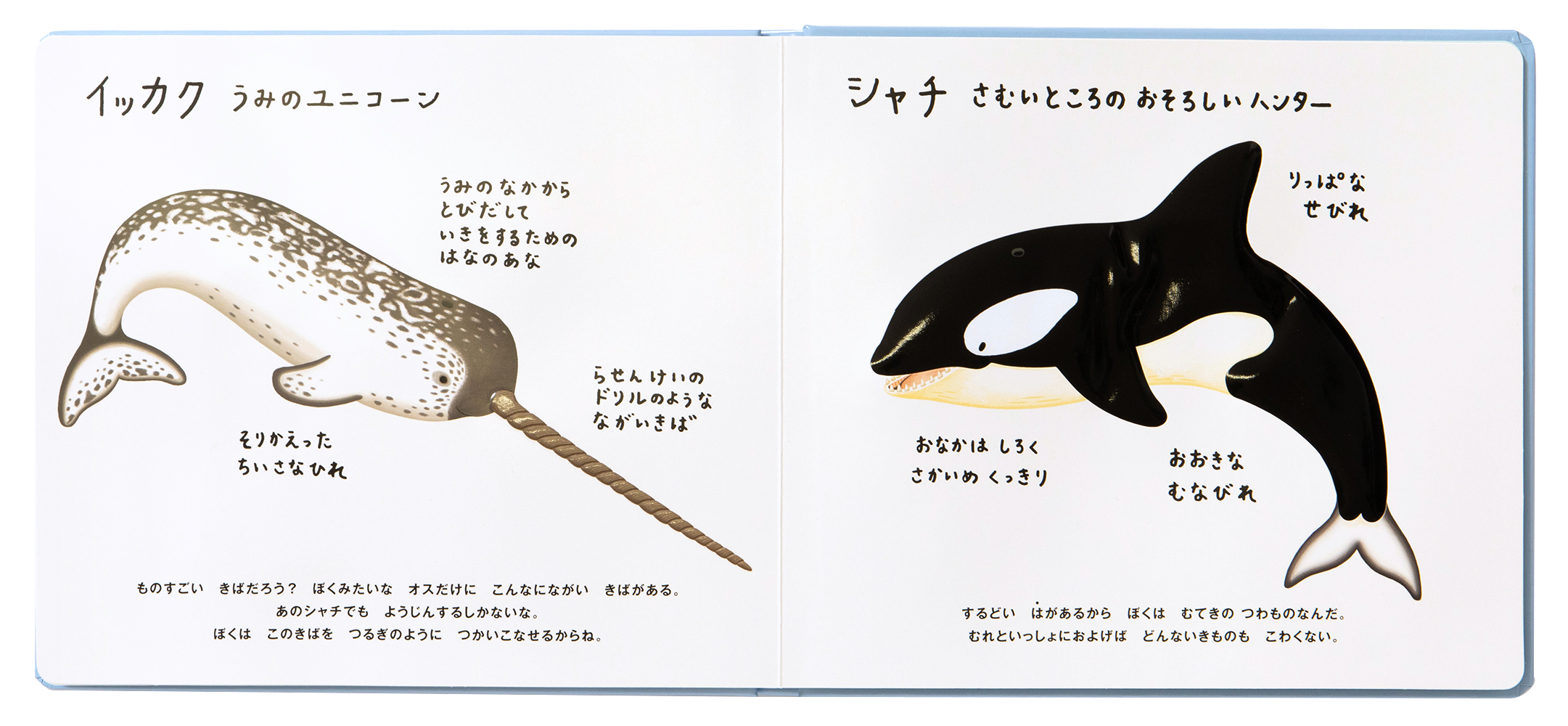 サムネイル画像5
