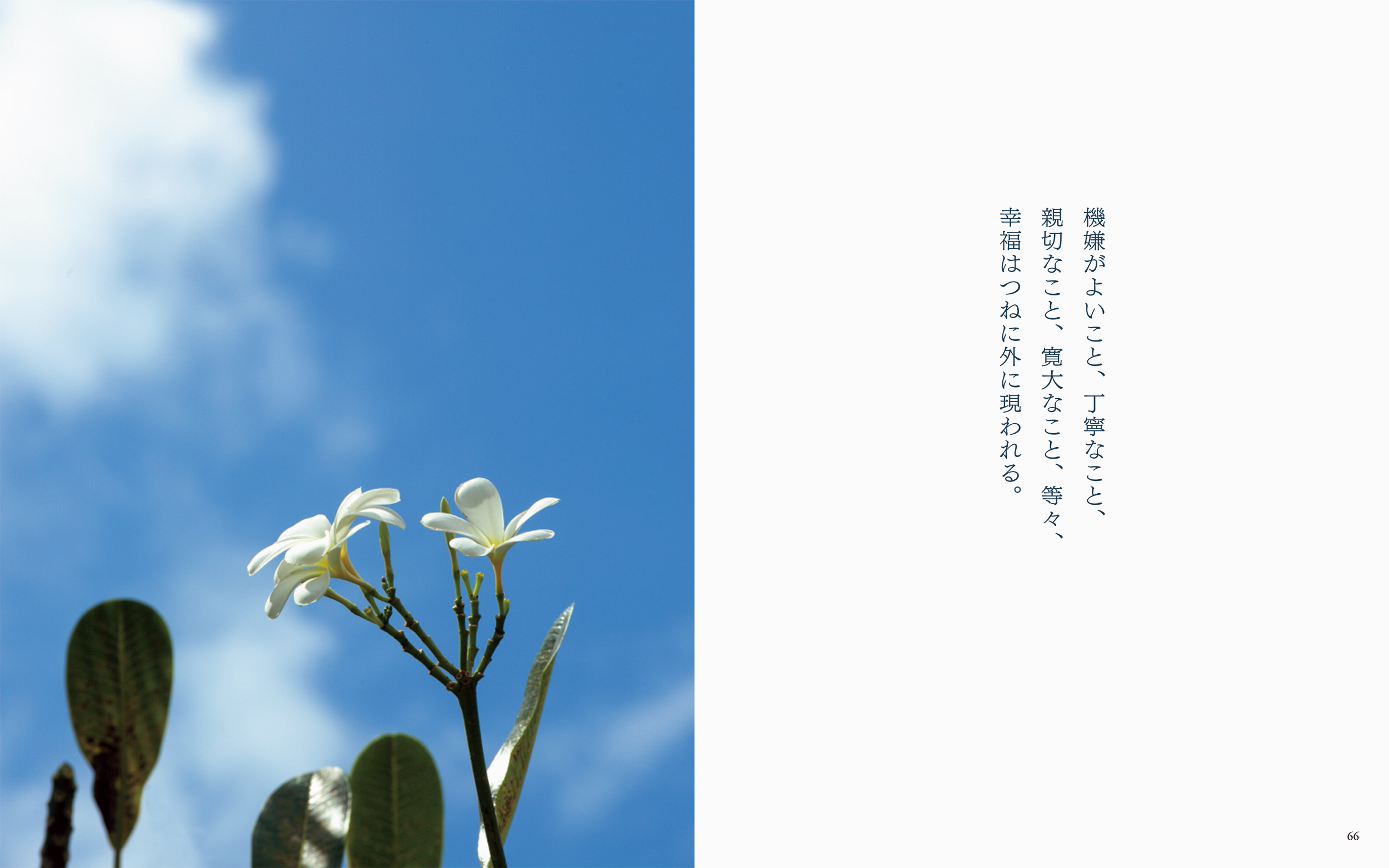 サムネイル画像3