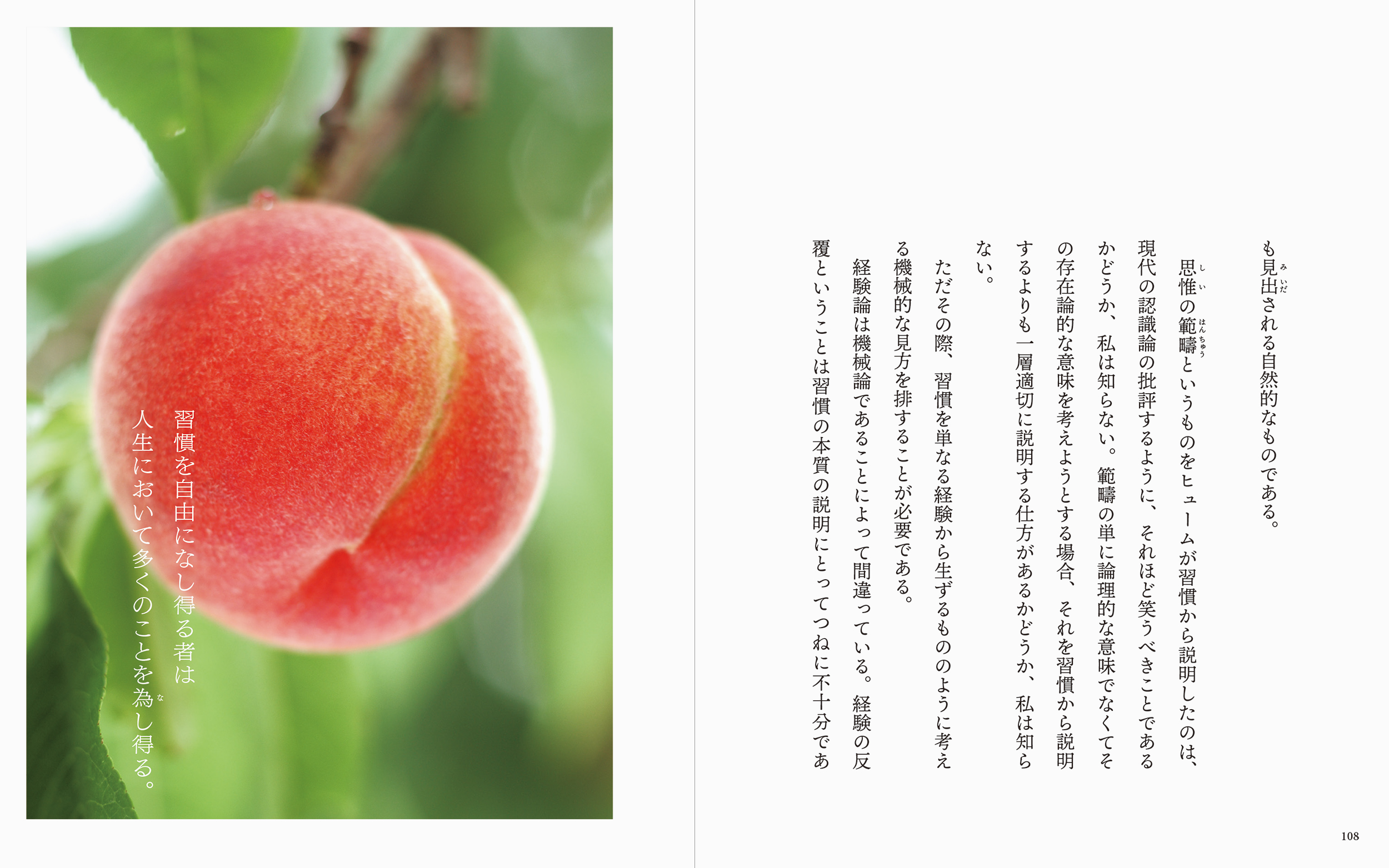 サムネイル画像5