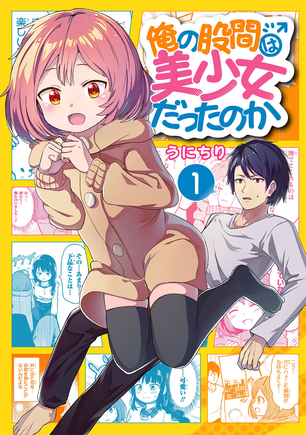 メイン画像