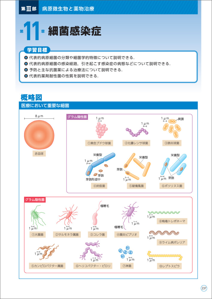 サムネイル画像5