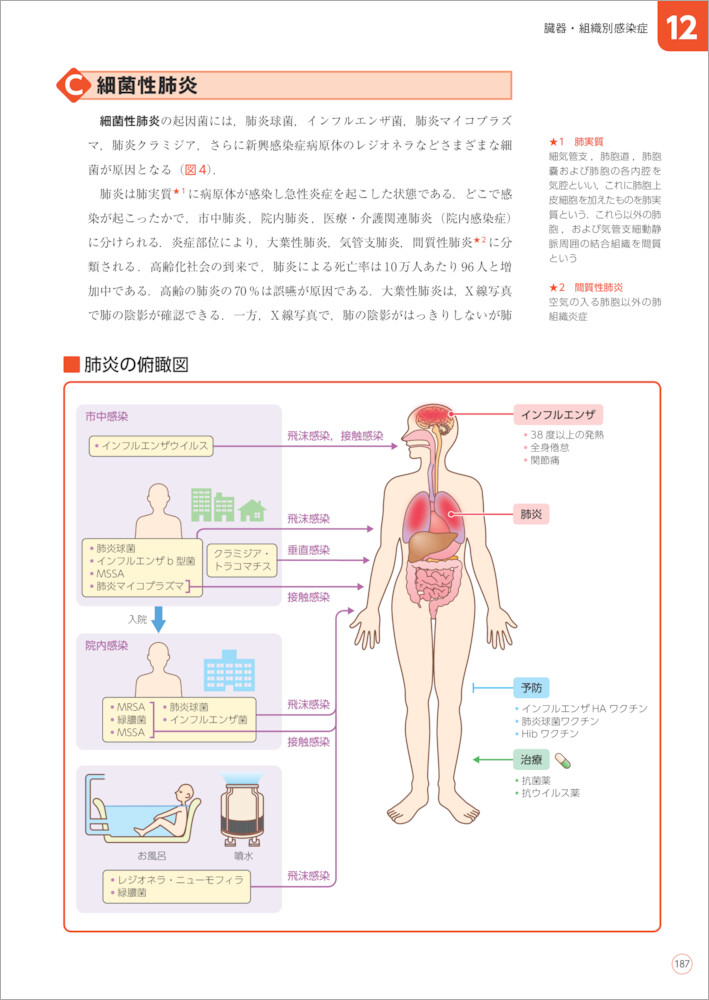 サムネイル画像2