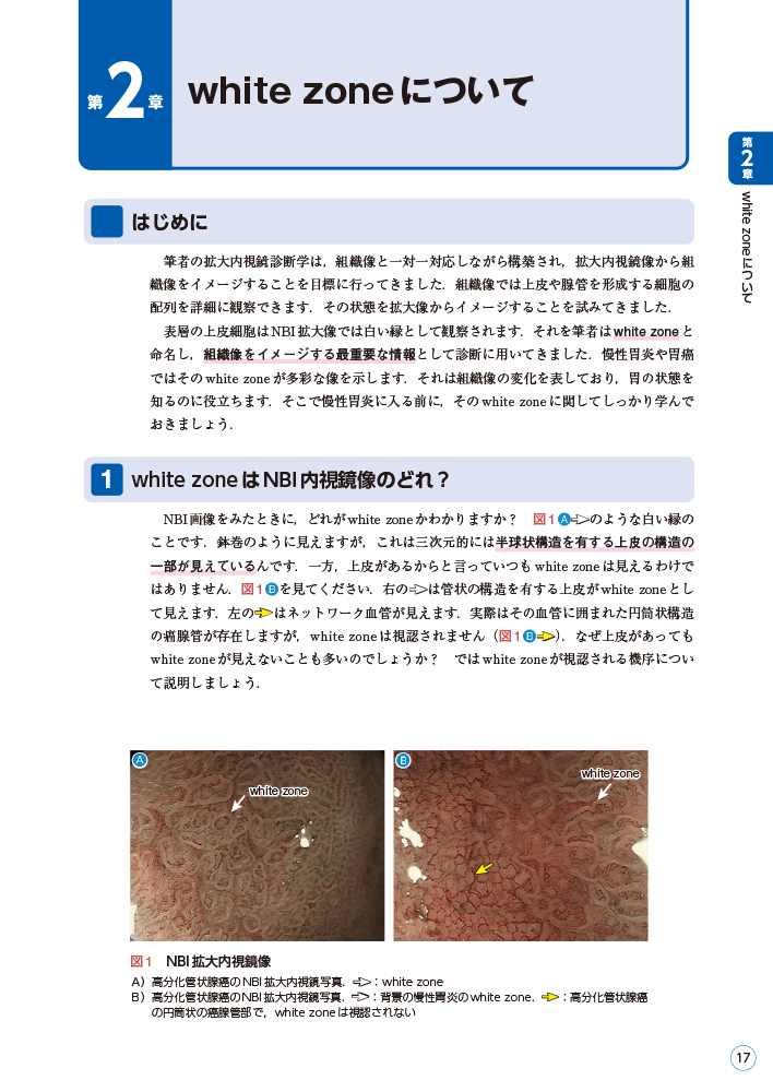 サムネイル画像1