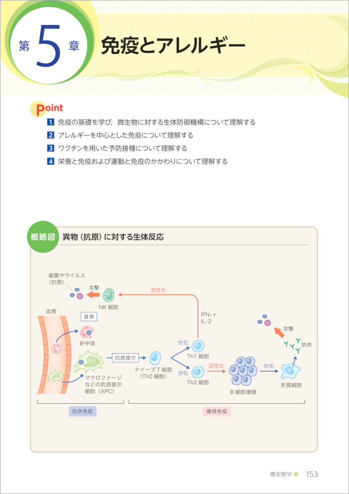 サムネイル画像5