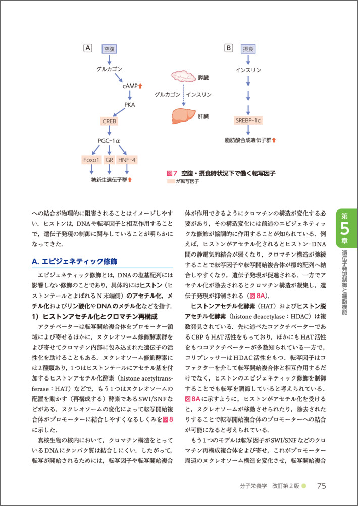 サムネイル画像2